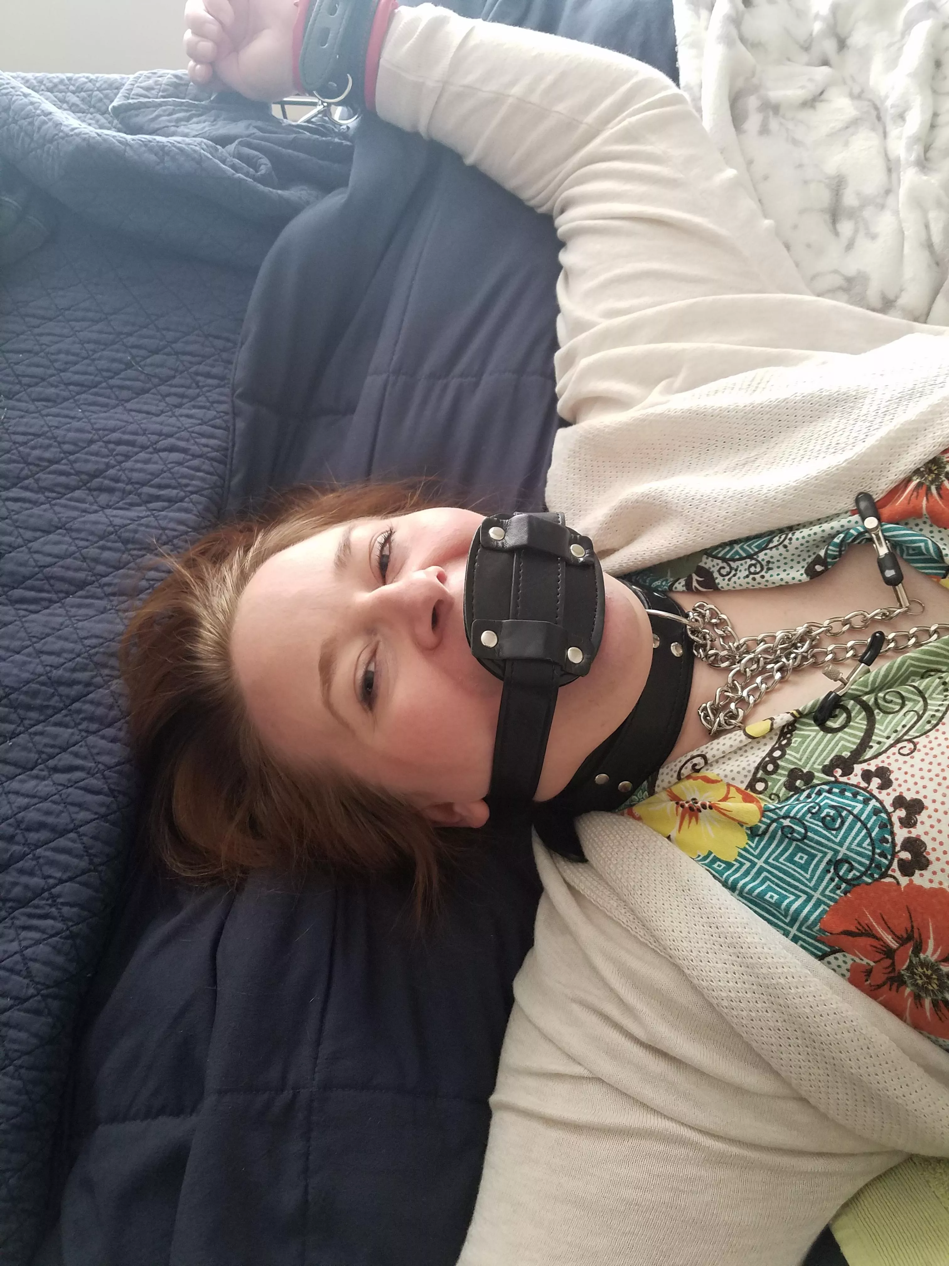 Penis gagged and collared posted by other-reddit-acc