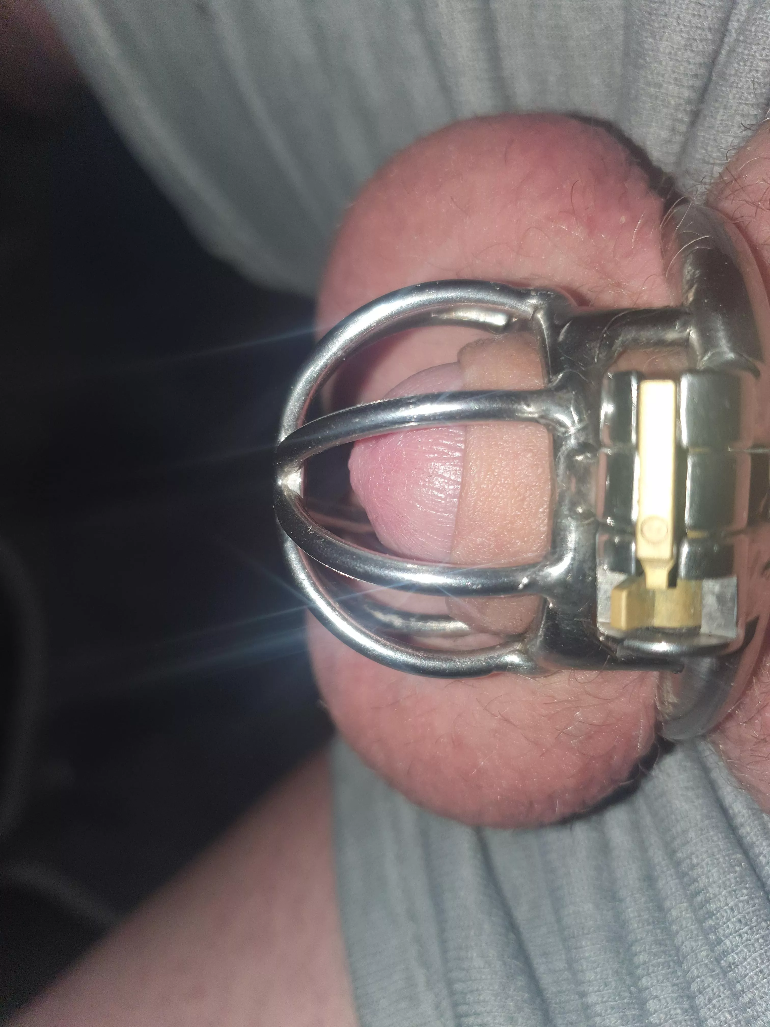 Permanent chastity has definitely caused some shrinkage 🤏 posted by Chaste_sub_sissy