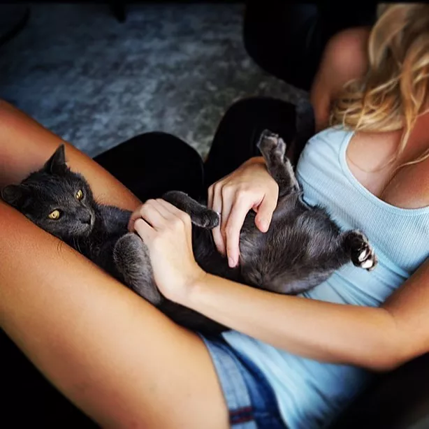 Petting her cat posted by BOOOOOOOBIES