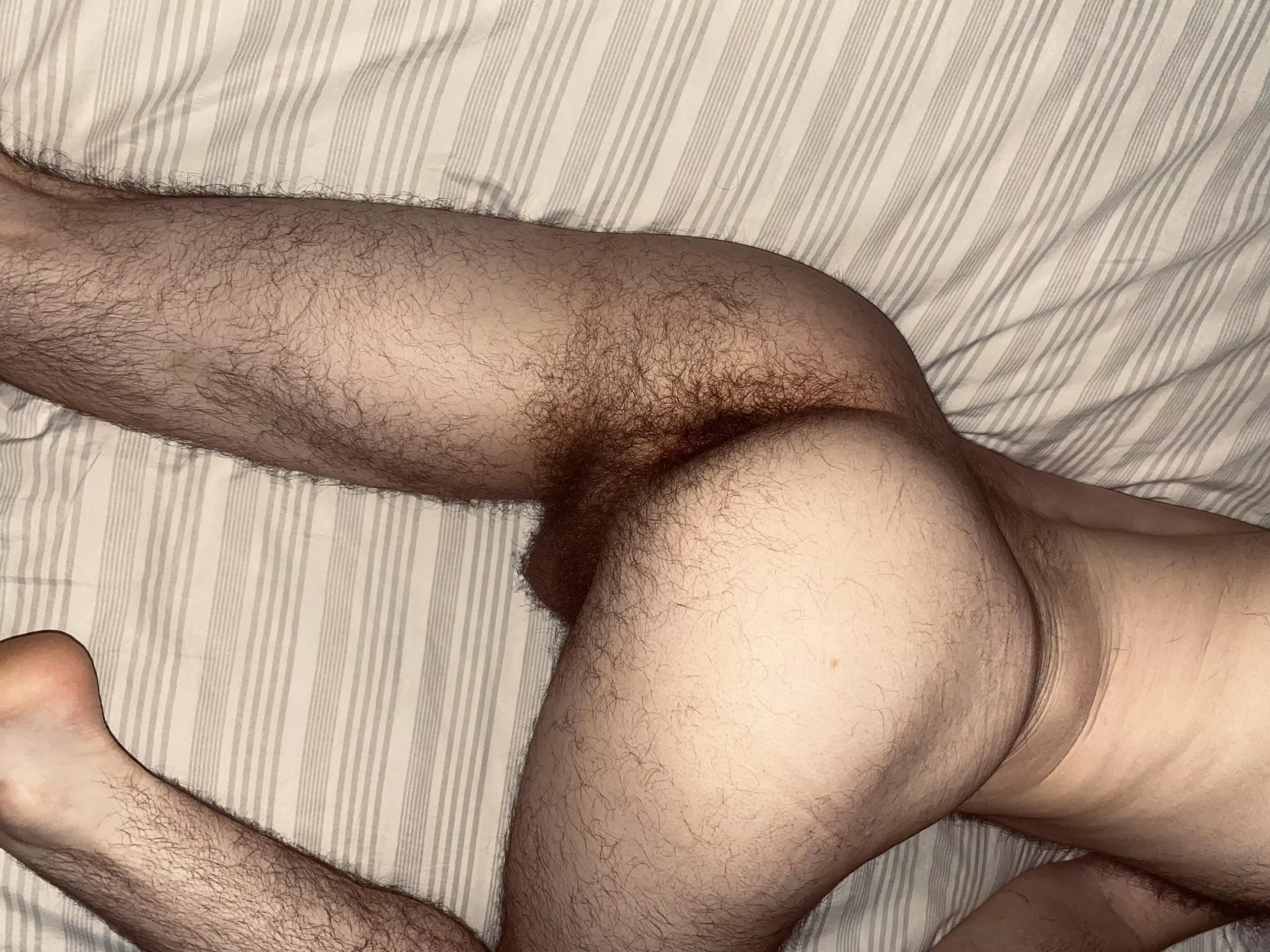 Play with my hairy balls while you eat my hairy hole ðŸ˜‰ (24m) posted by aspiring-otter