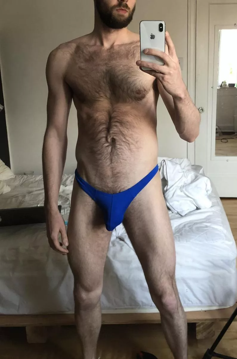 play with this blue bulge posted by wettpup