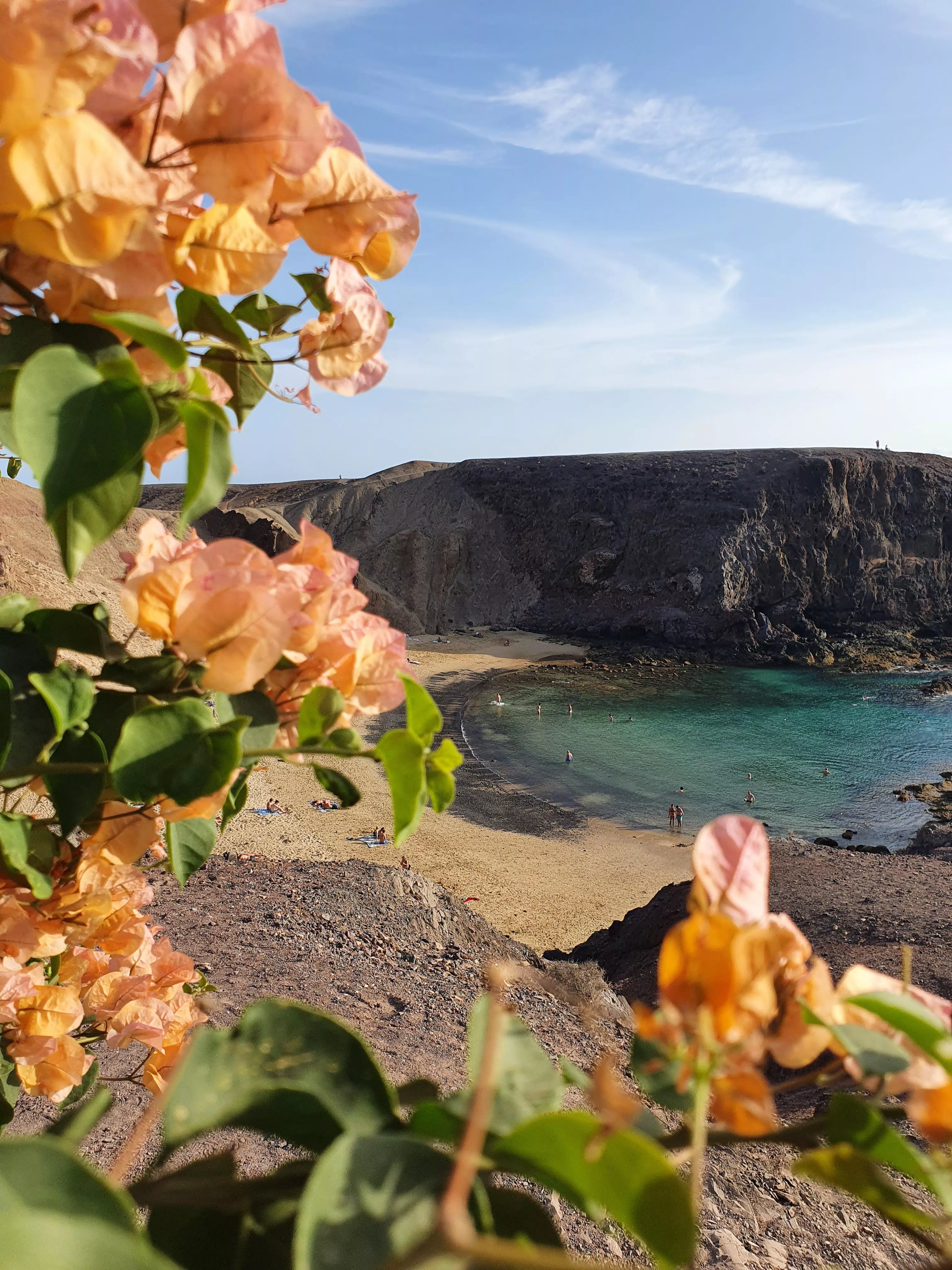 Playa Papagayo - Lanzarote Out/2021, what a beautiful bitch posted by jarvasjarvas