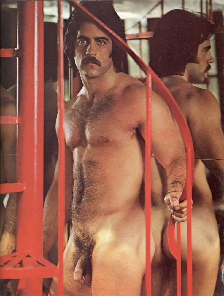 Playgirl 1970s. Not sure of his name. posted by naughtyANDnice40s