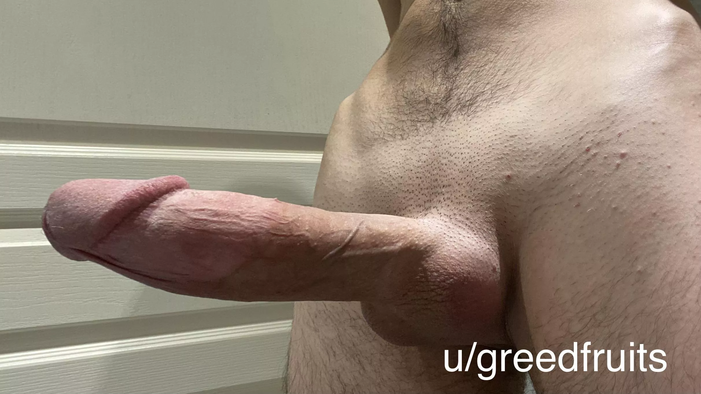 Please don’t interact unless you’d suck my fat cock posted by greedfruits