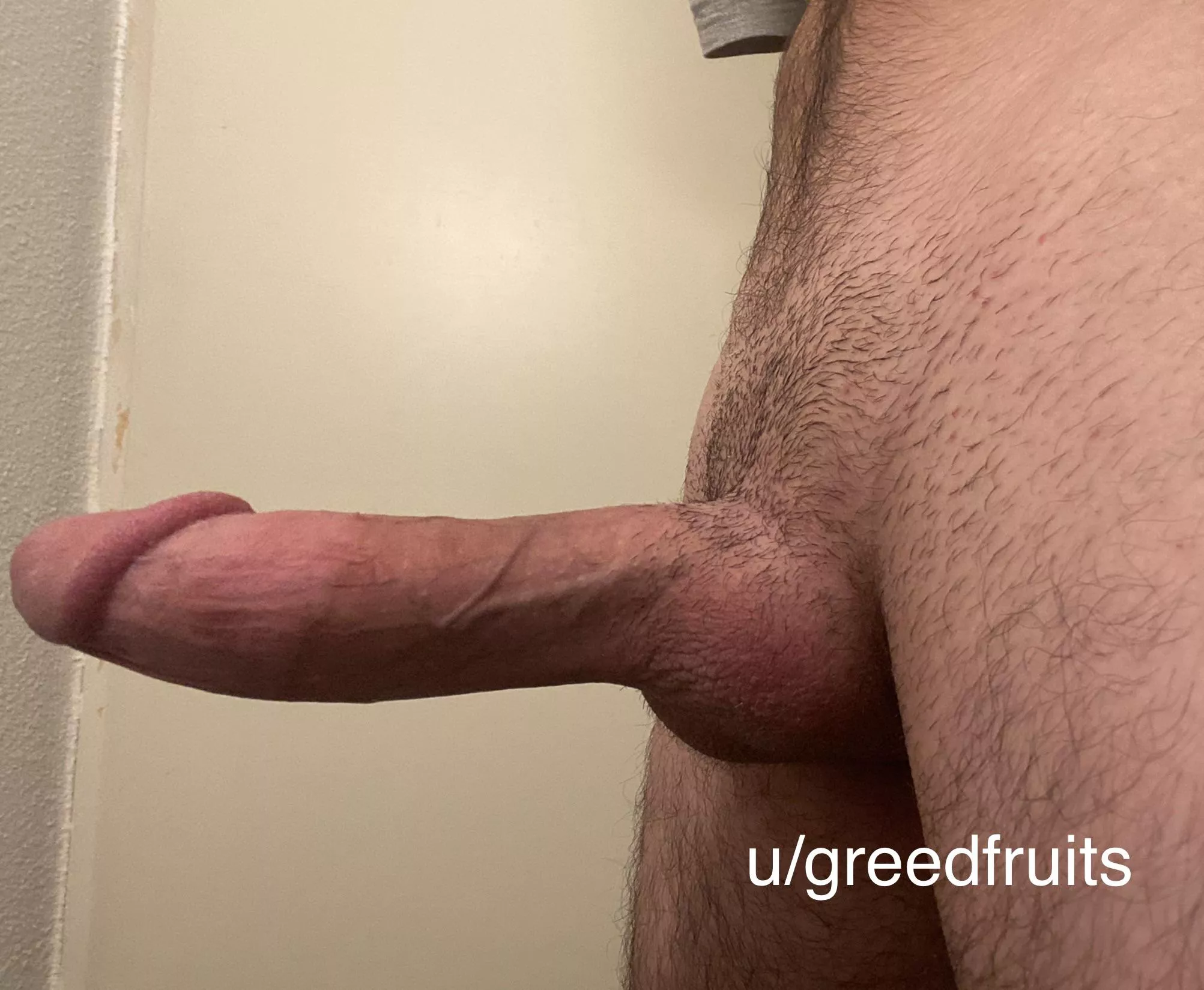 Please only like this if you’d actually suck on my fat cock posted by greedfruits