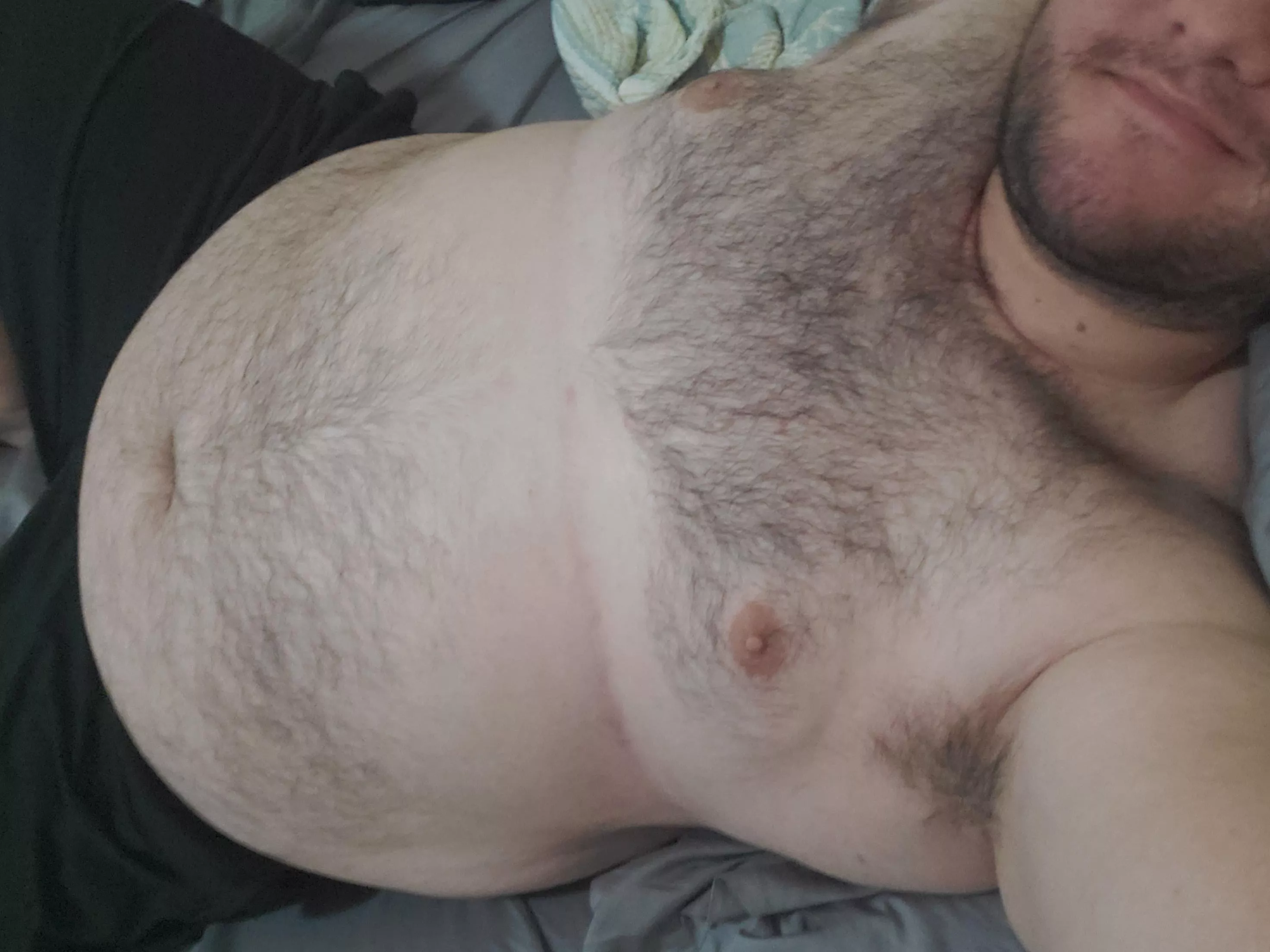 PMs welcome bears! posted by SkinnerBox28