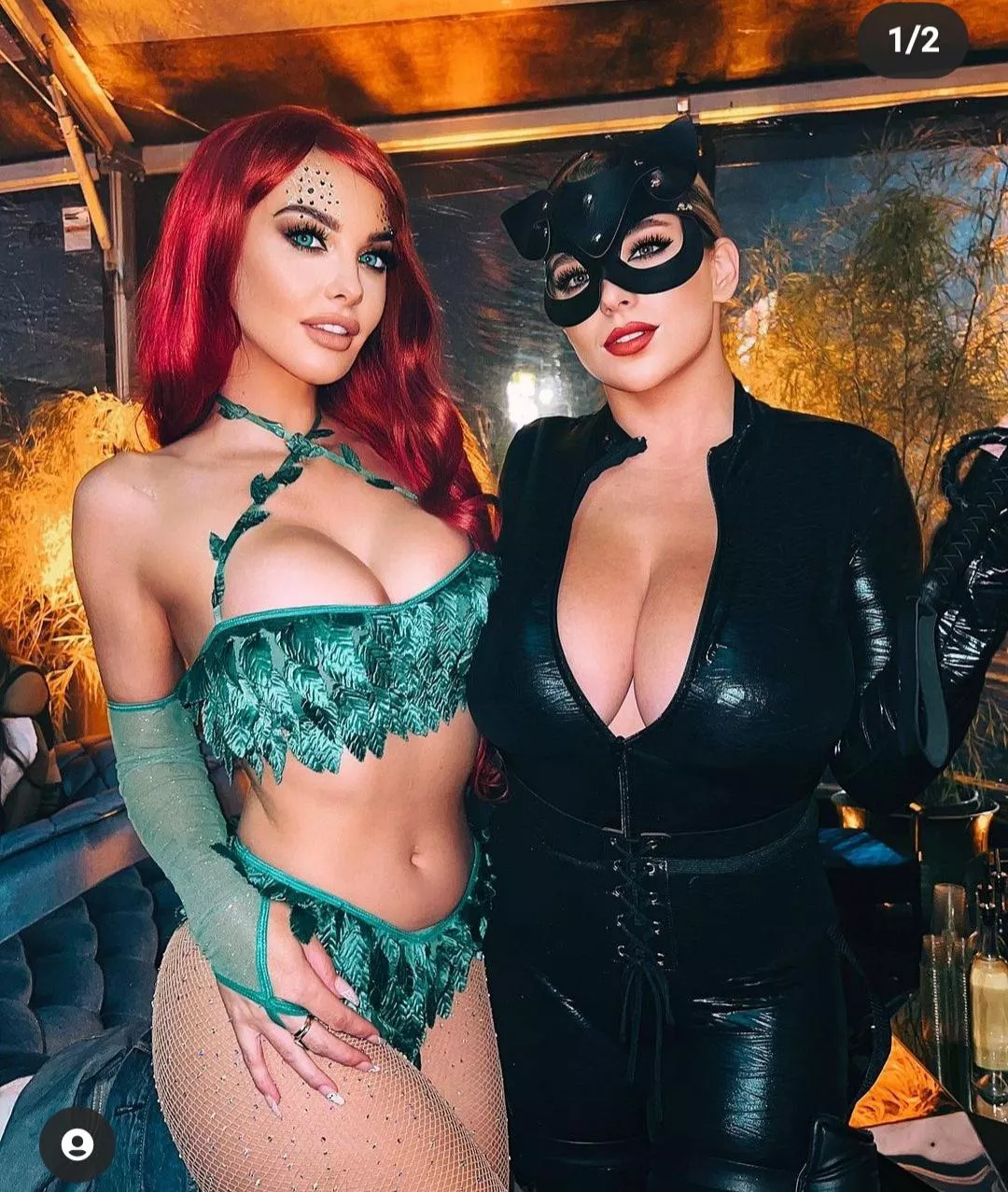 Poison ivy or catwoman posted by sinid00