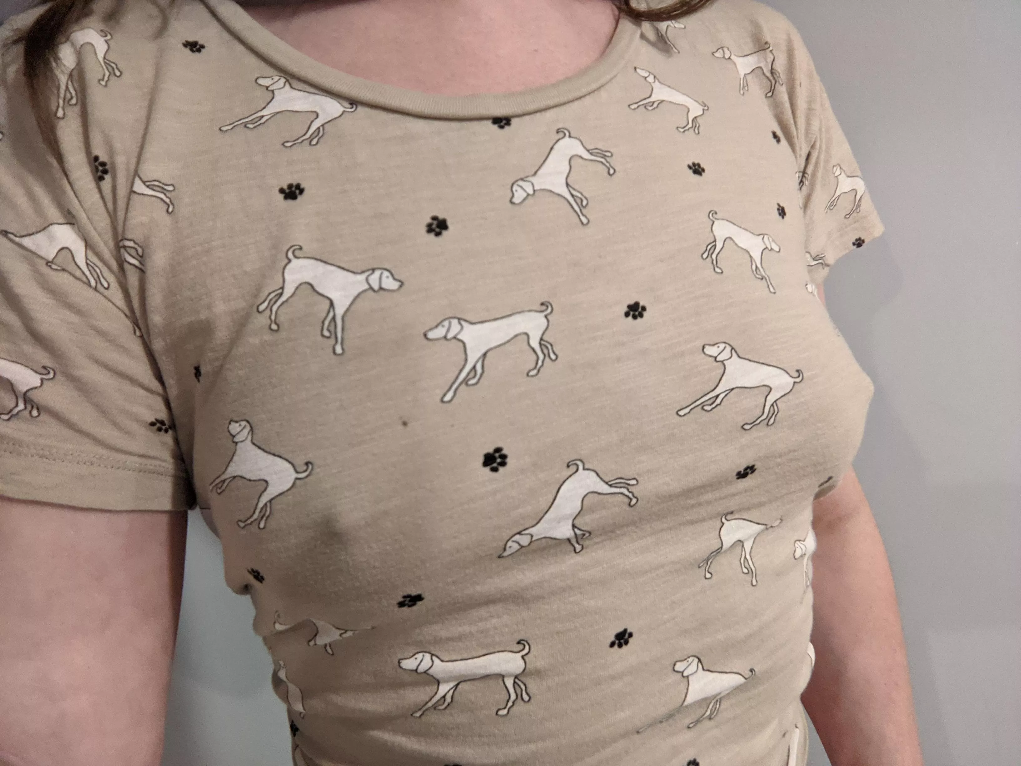 Poking through my dog shirt posted by studdedcollar