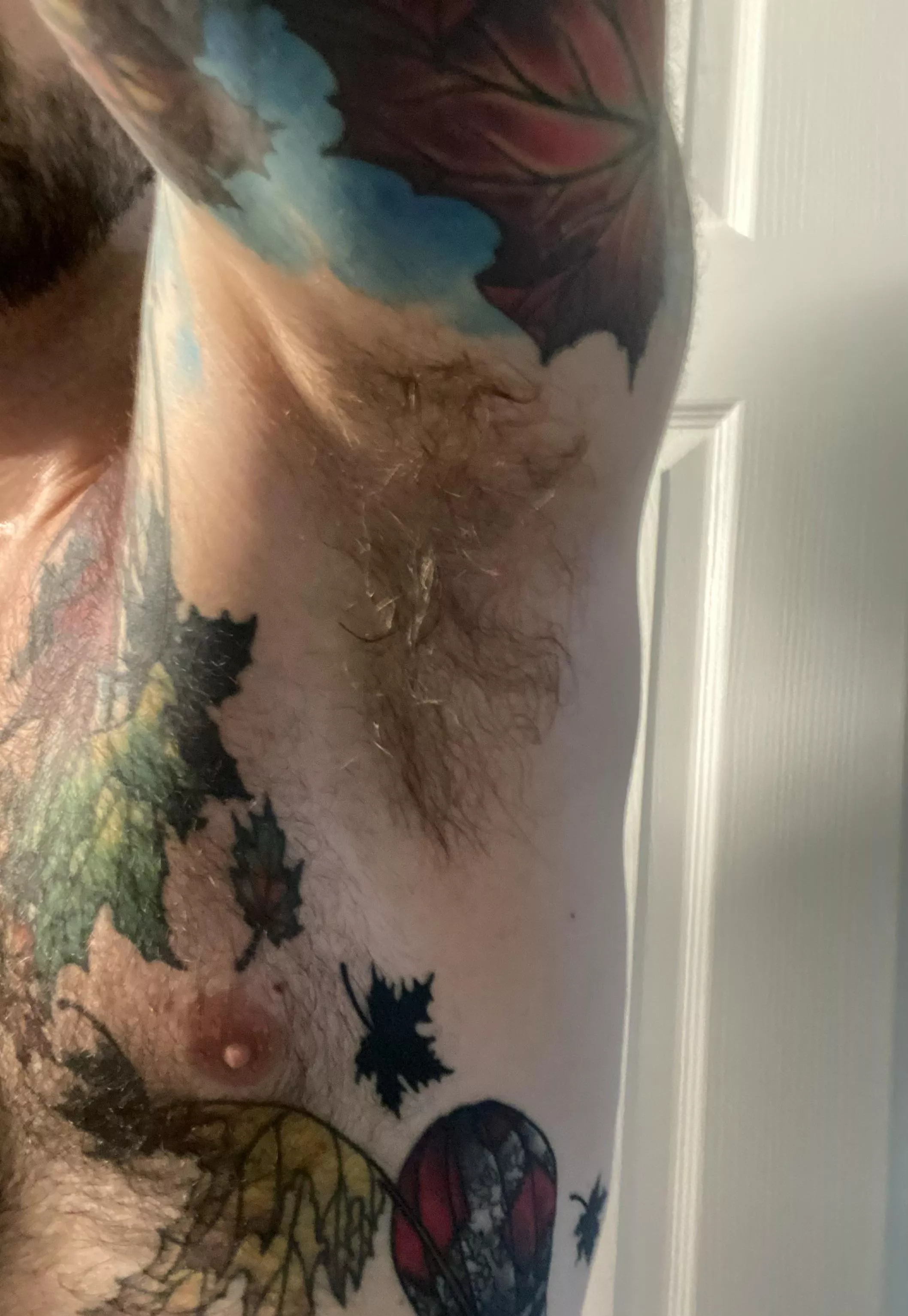 Post grass cutting posted by PNW_inked