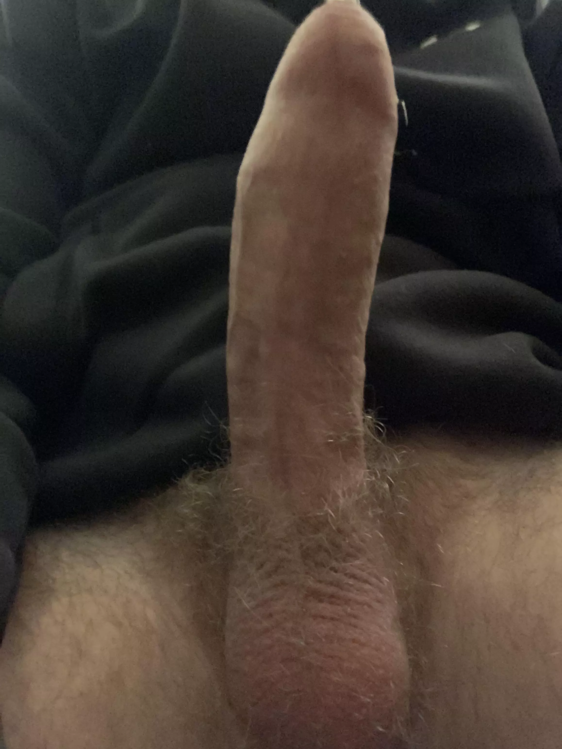 POV you’re about to worship this cock posted by MrCasual112