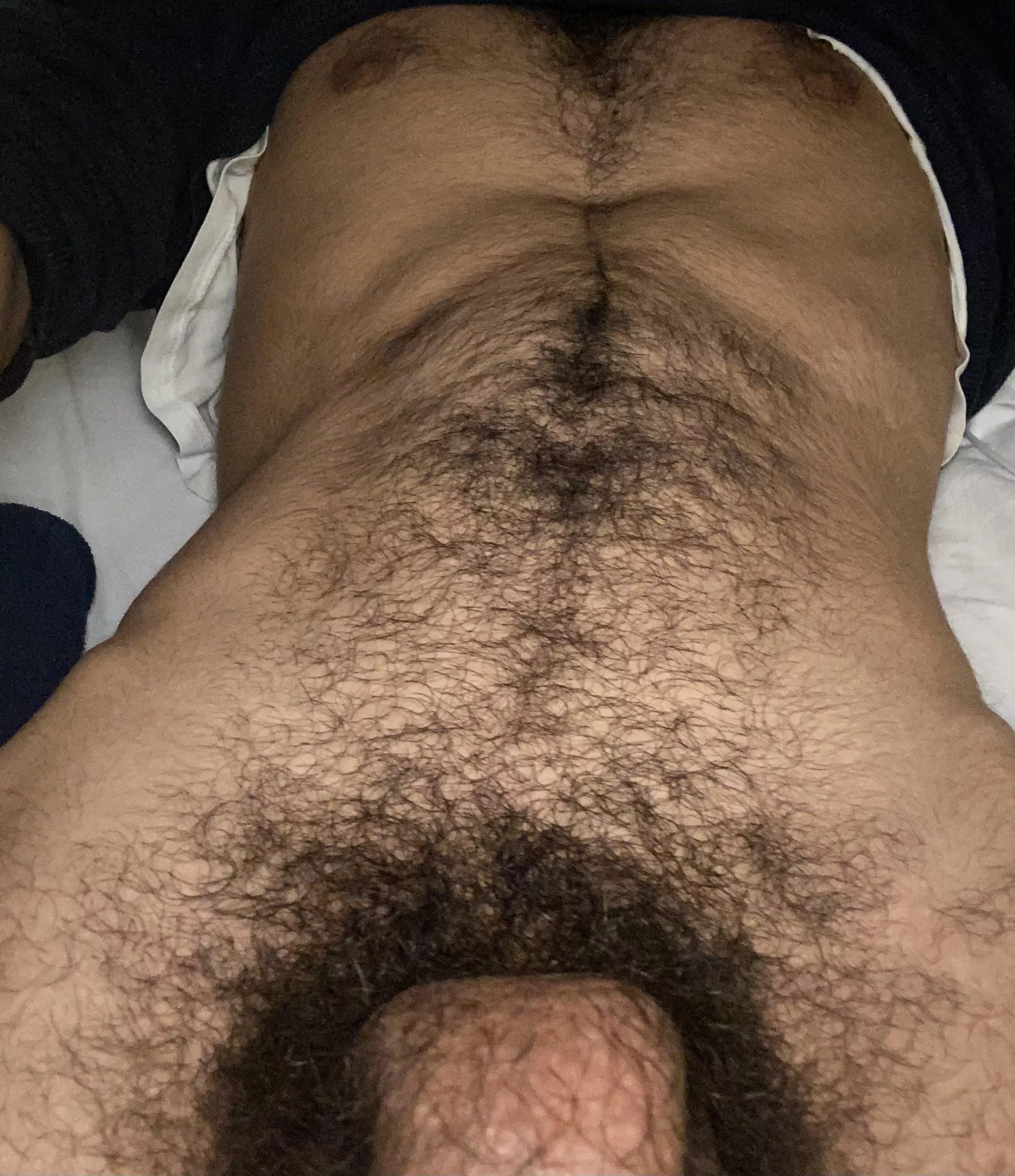 Pov: you’re sucking my dick and you take it all down your throat posted by Tallhairybud