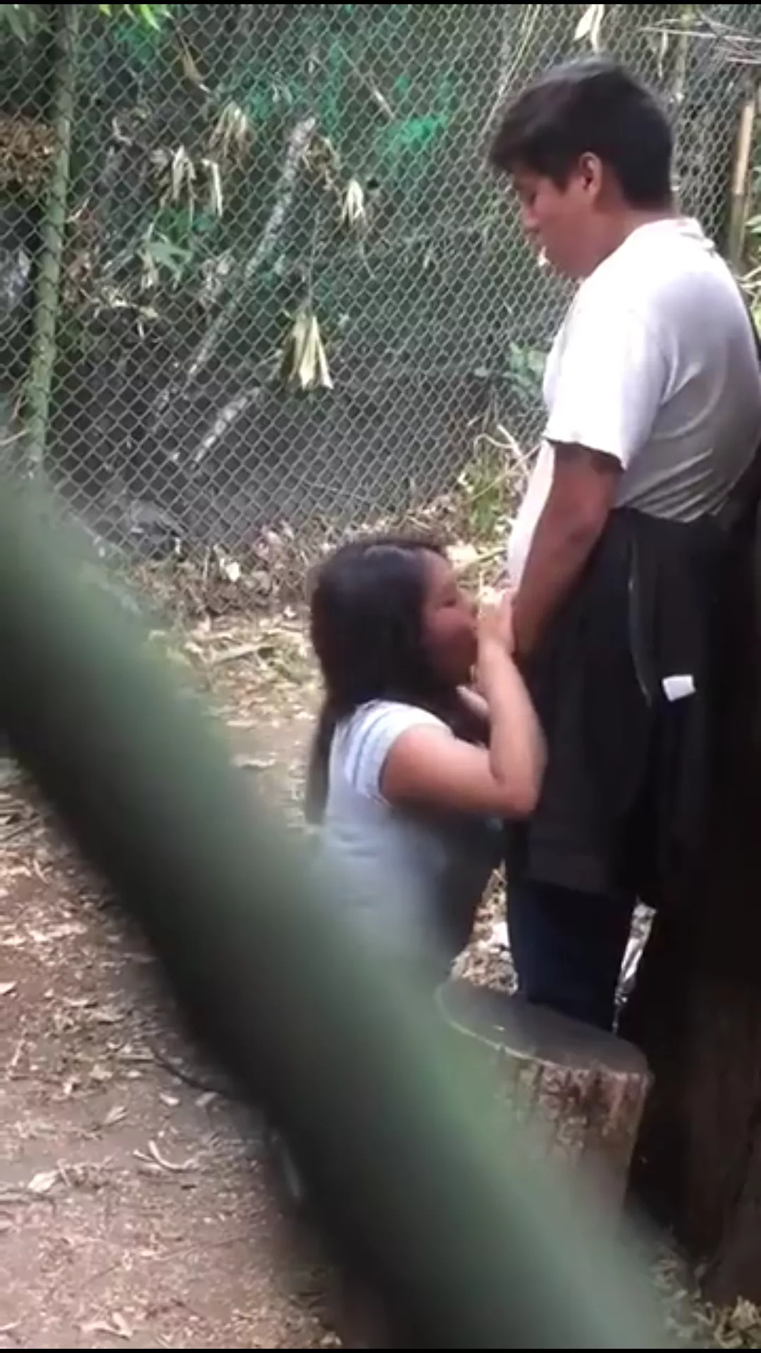 PUBLIC PARK HOT GIRL BLOWJOB posted by Square_Persimmon1340