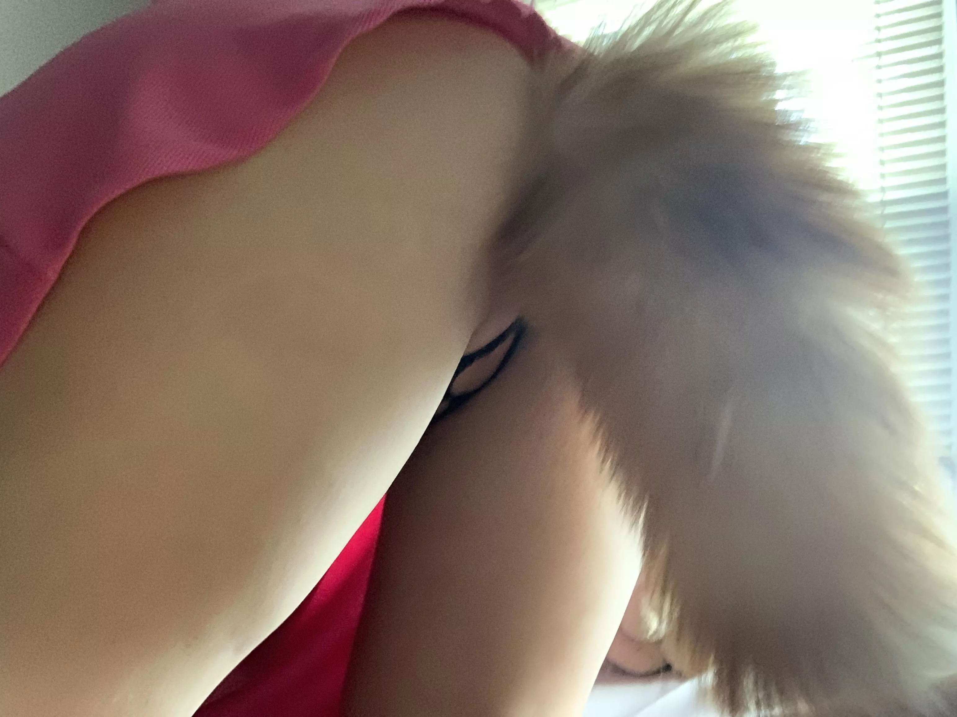 pull my tail while you fuck me🥰 posted by altpup