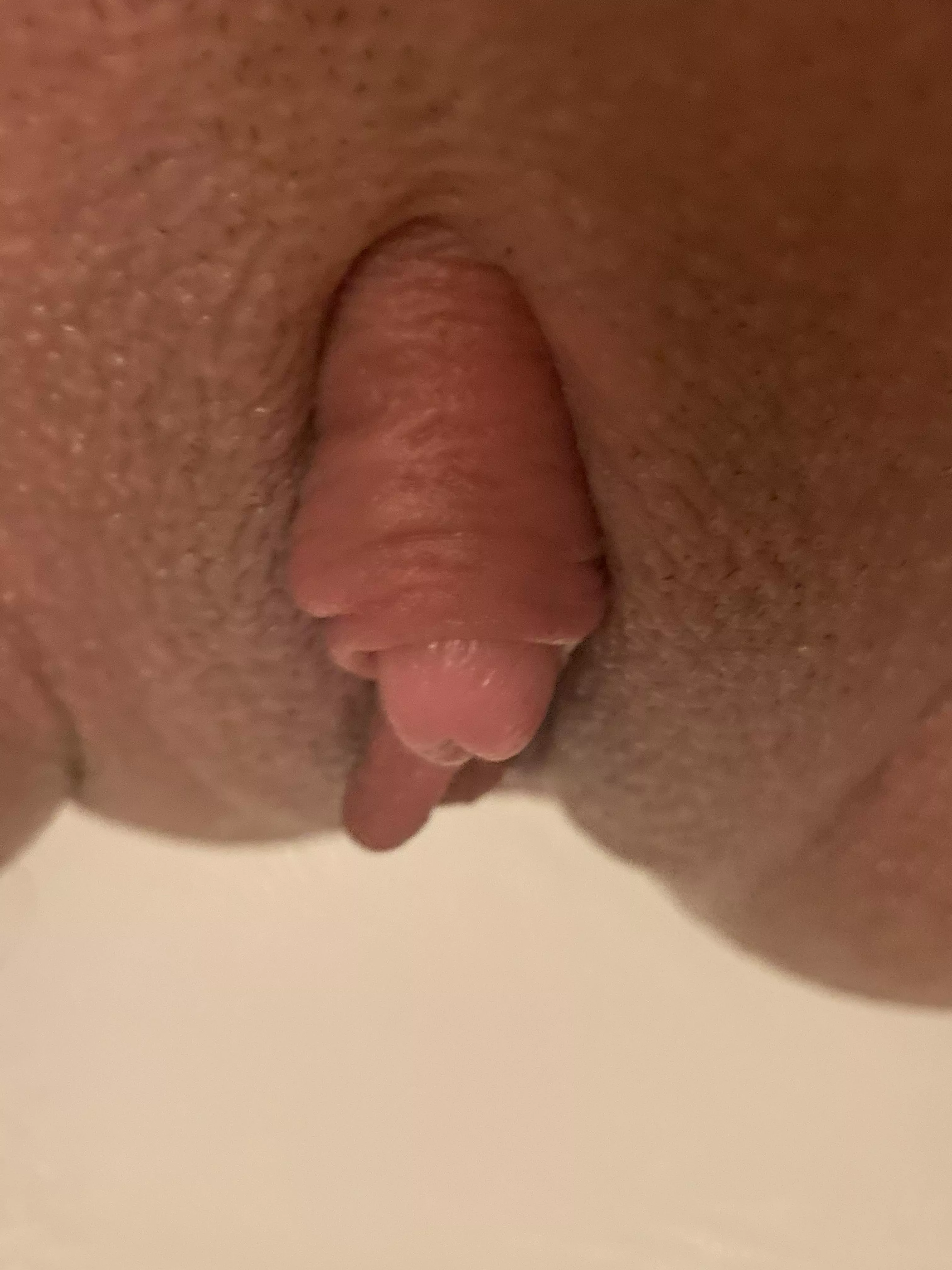 pumped up and swollen but not erect yet posted by cowholes