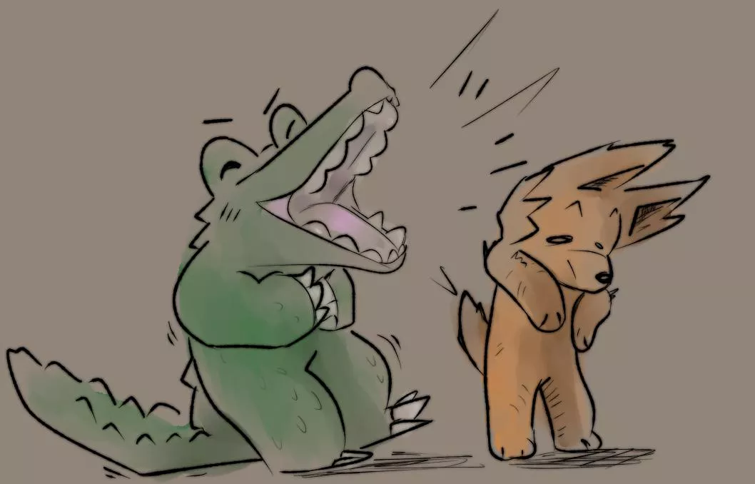 Pup n' Gator posted by Rapid_Raccoon