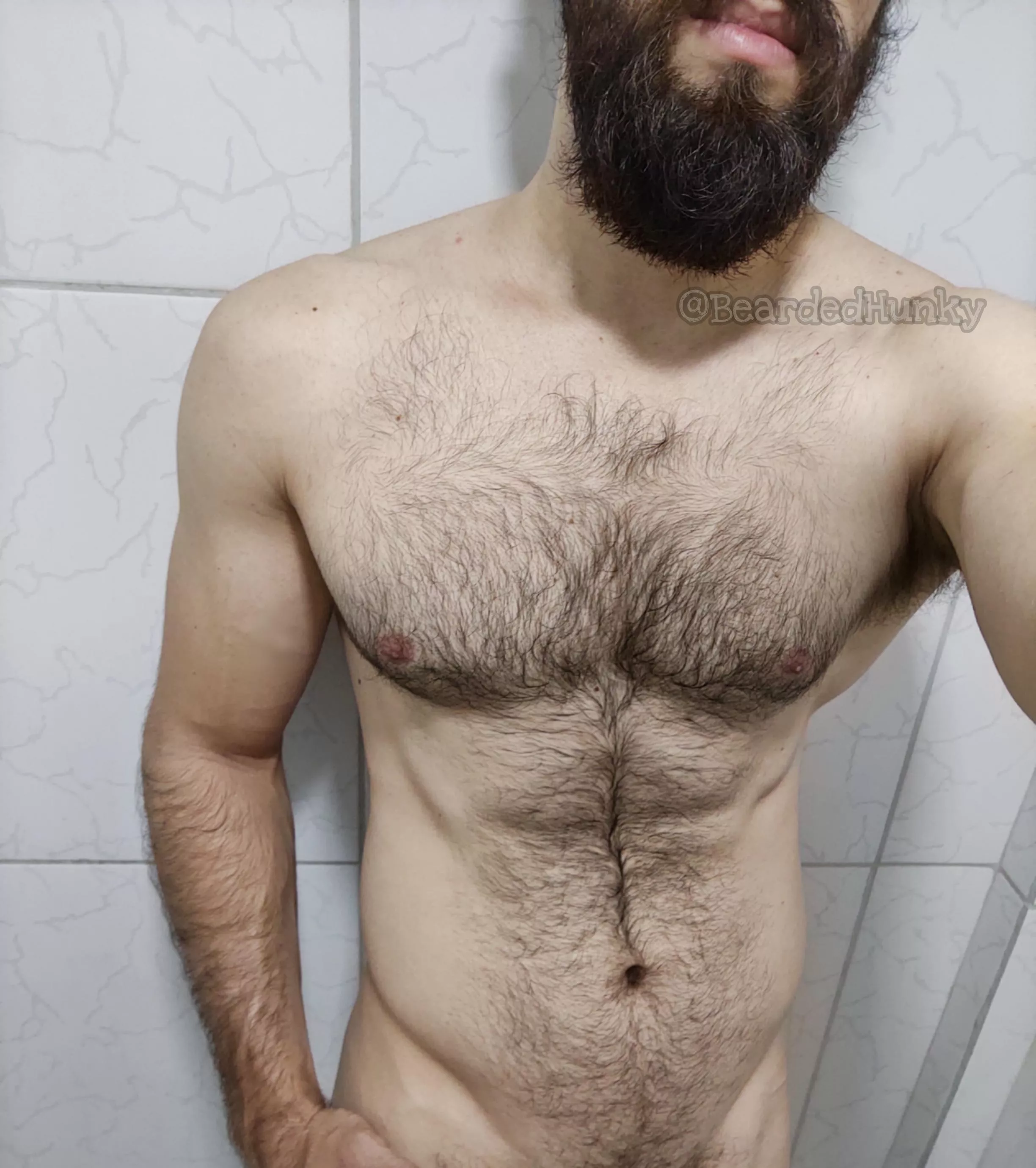 Pure chest hair porn posted by Bearded_Hunky