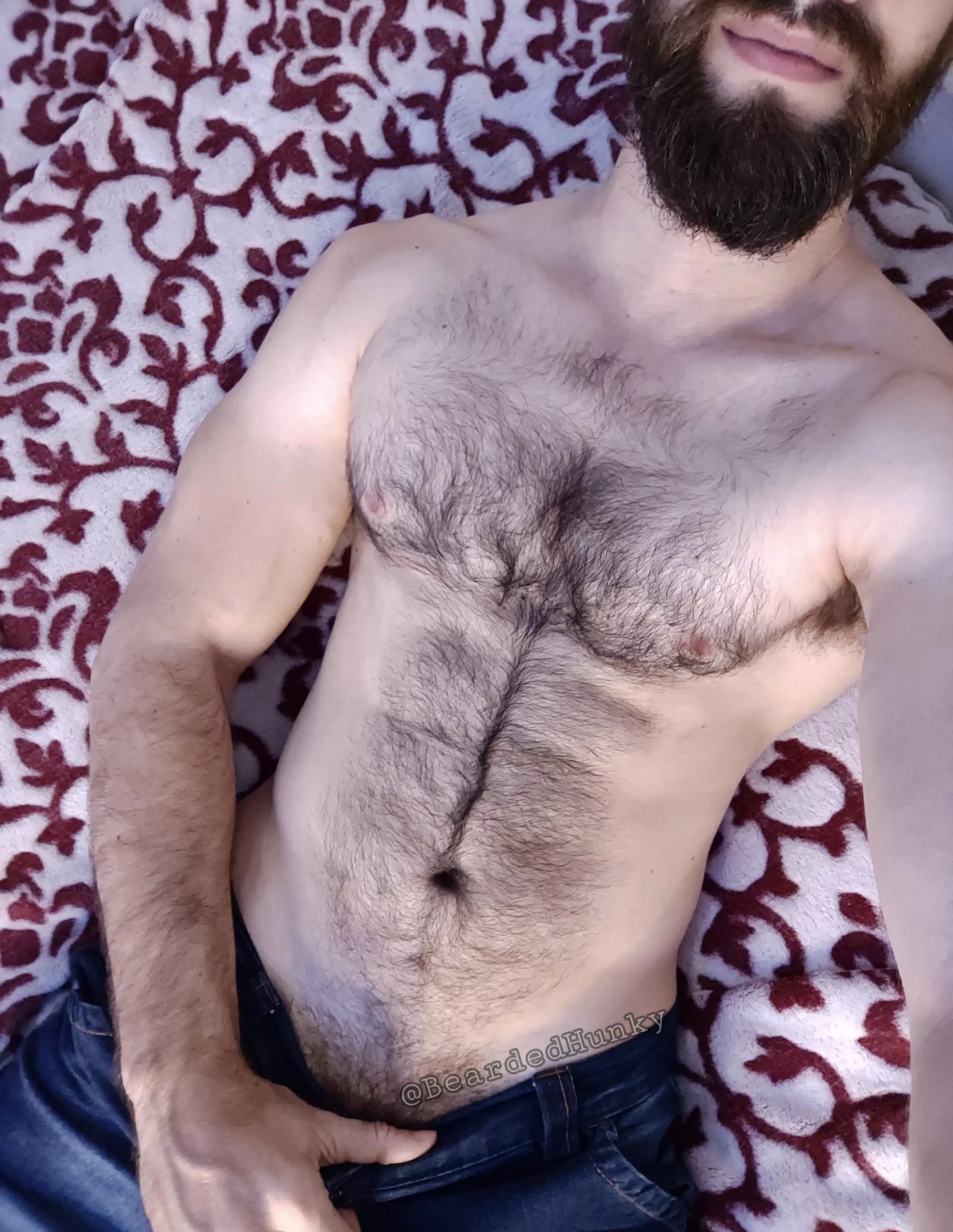 Pure chest hair porn posted by Bearded_Hunky