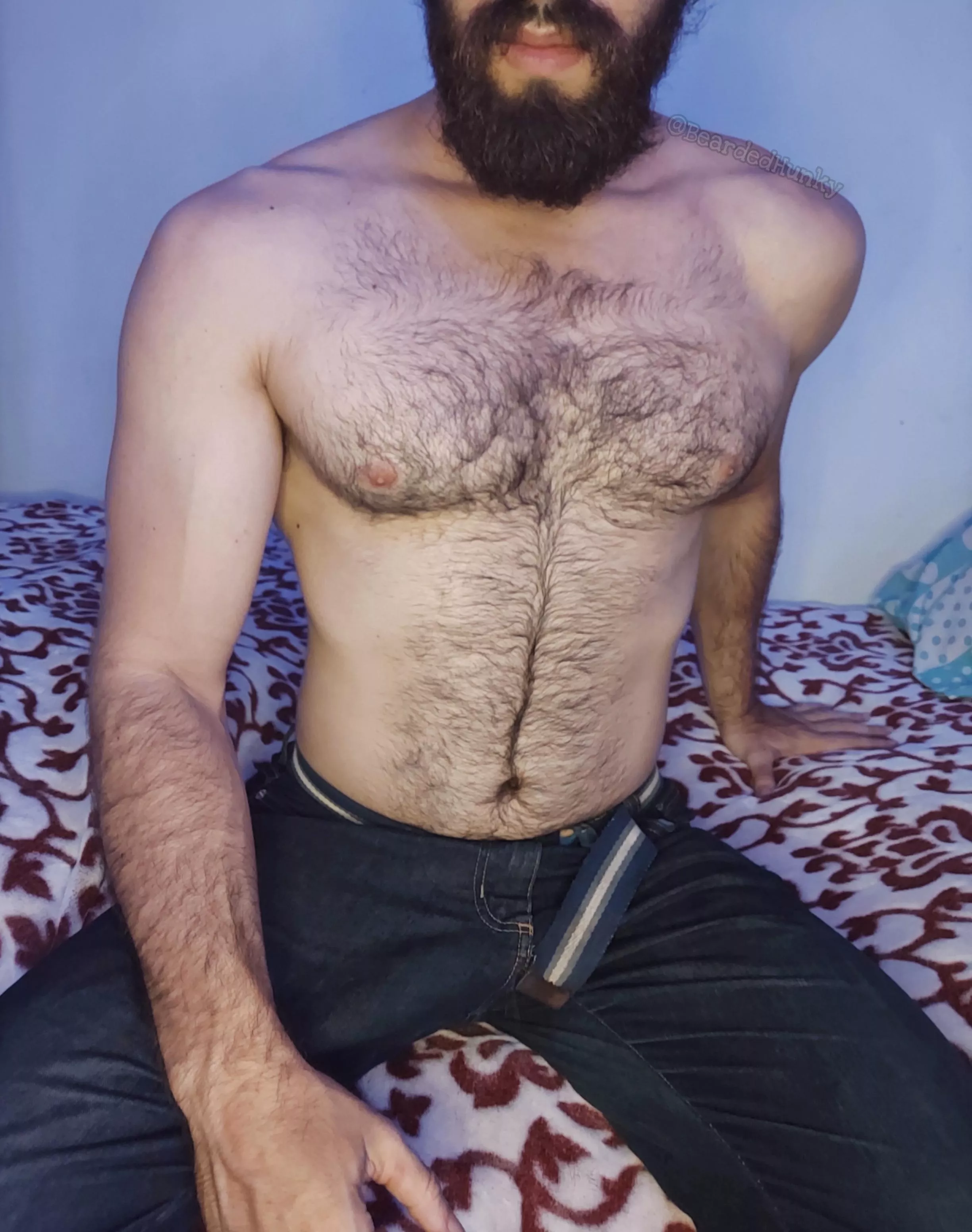 Pure chest hair porn posted by Bearded_Hunky