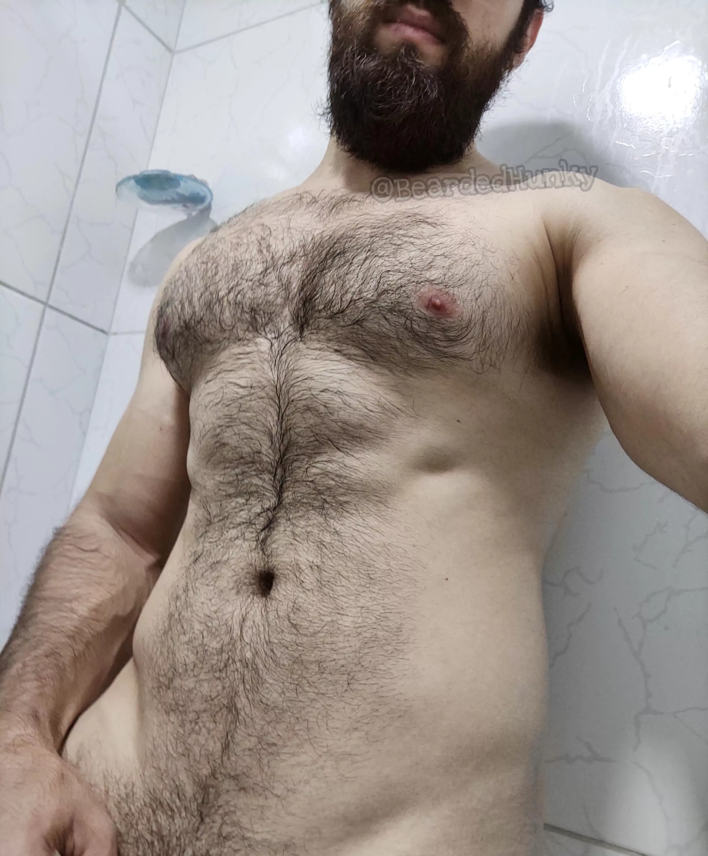 Pure chest hair porn posted by Bearded_Hunky