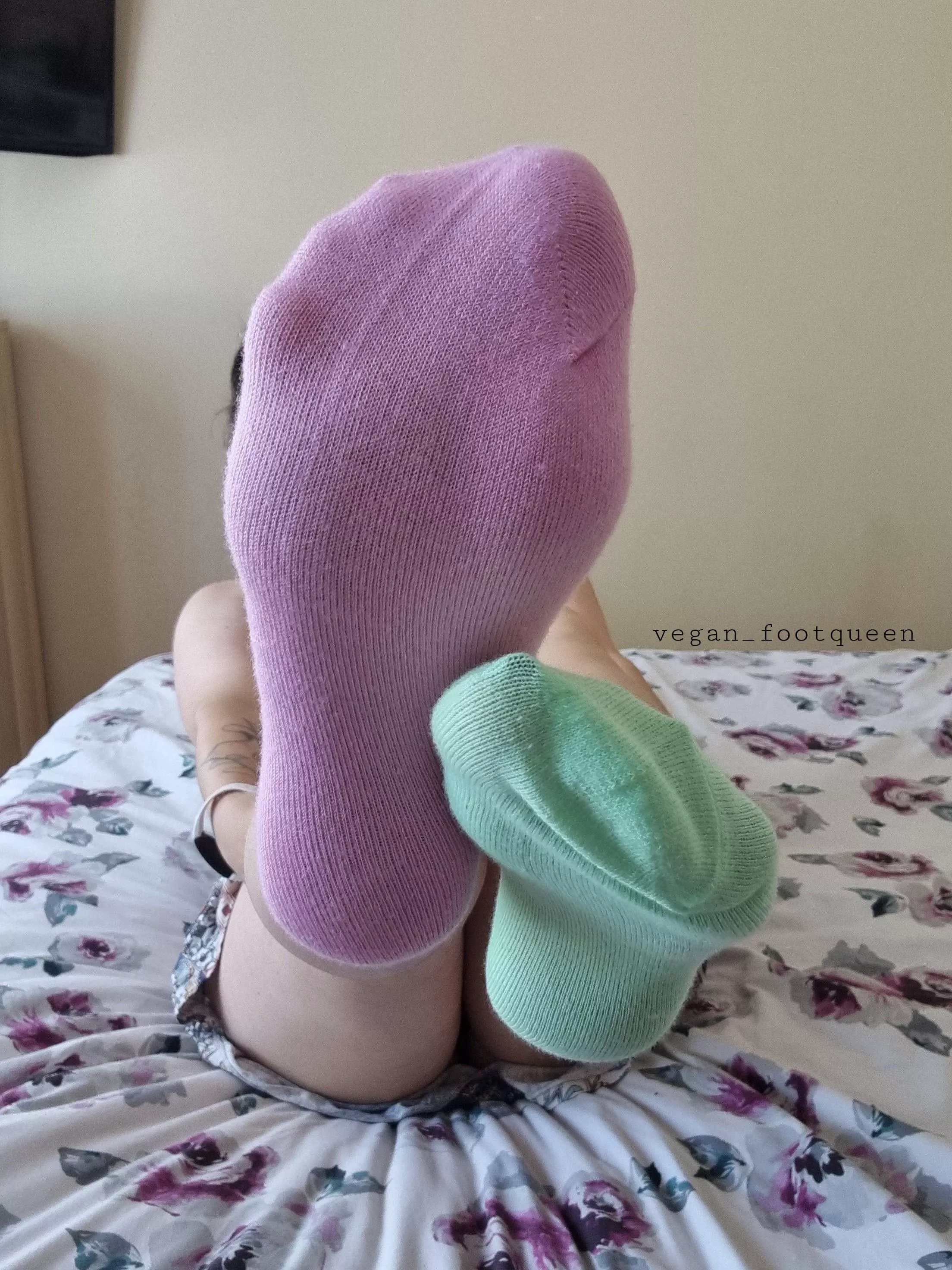 Purple-pink or the mint green? 🤭 posted by Veganfootqueen