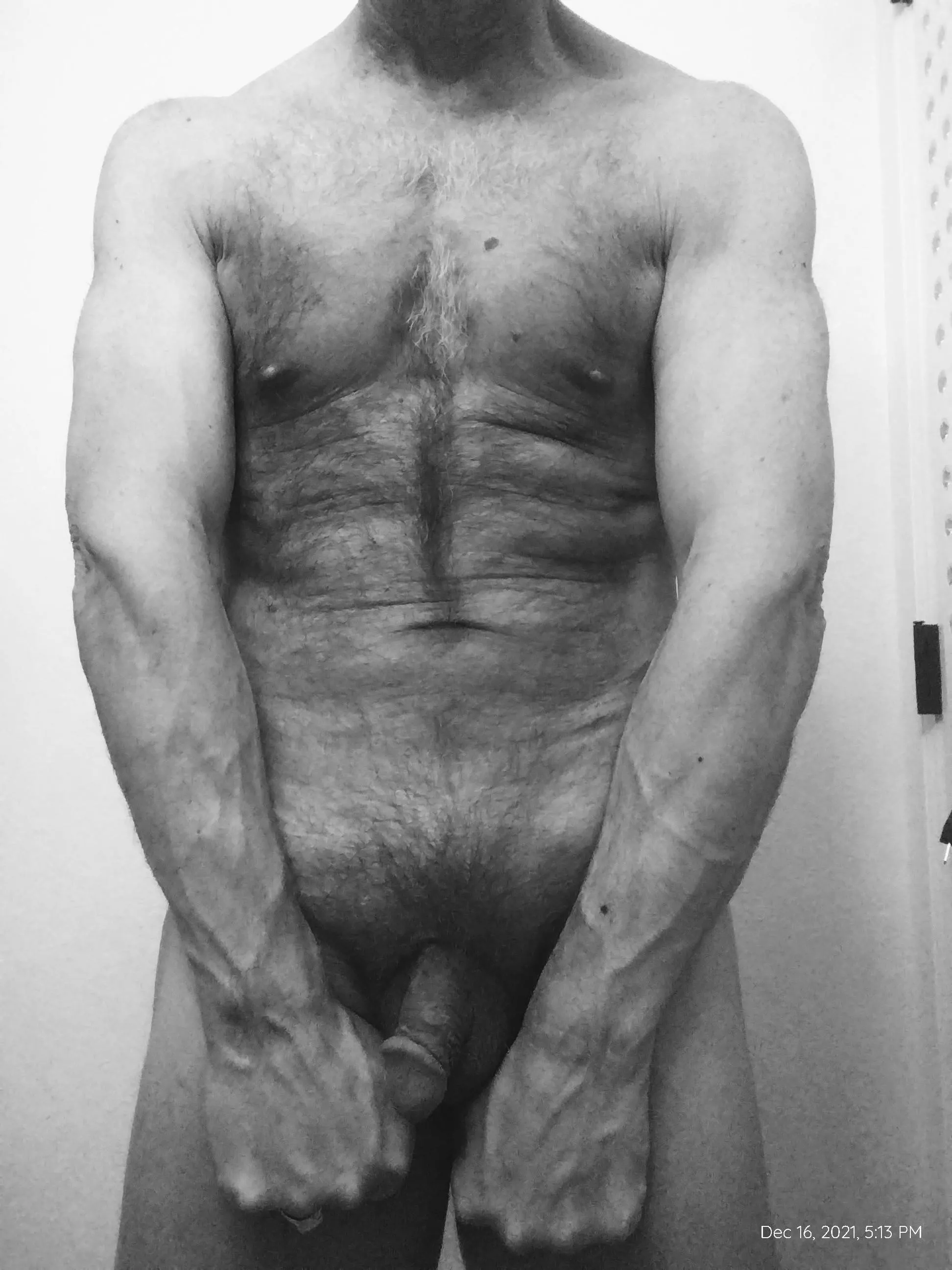 Purrfectly pubes (m)(65) posted by MisterOchre