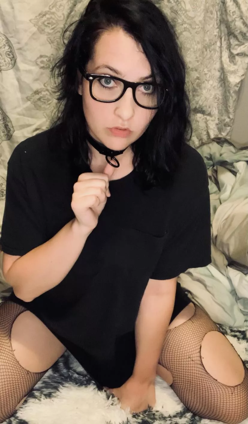 Put a leash on me and take me home? posted by GothiccCutie