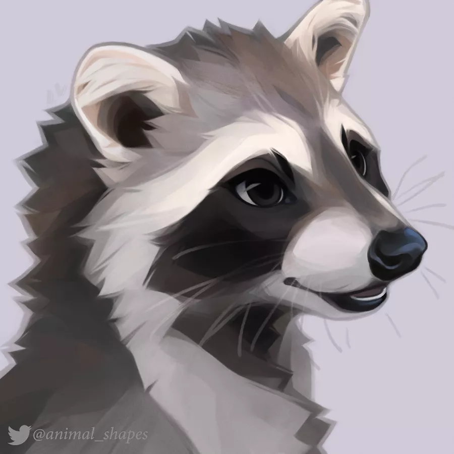 racoon by @animal_shapes on twitter! posted by bitesize_art