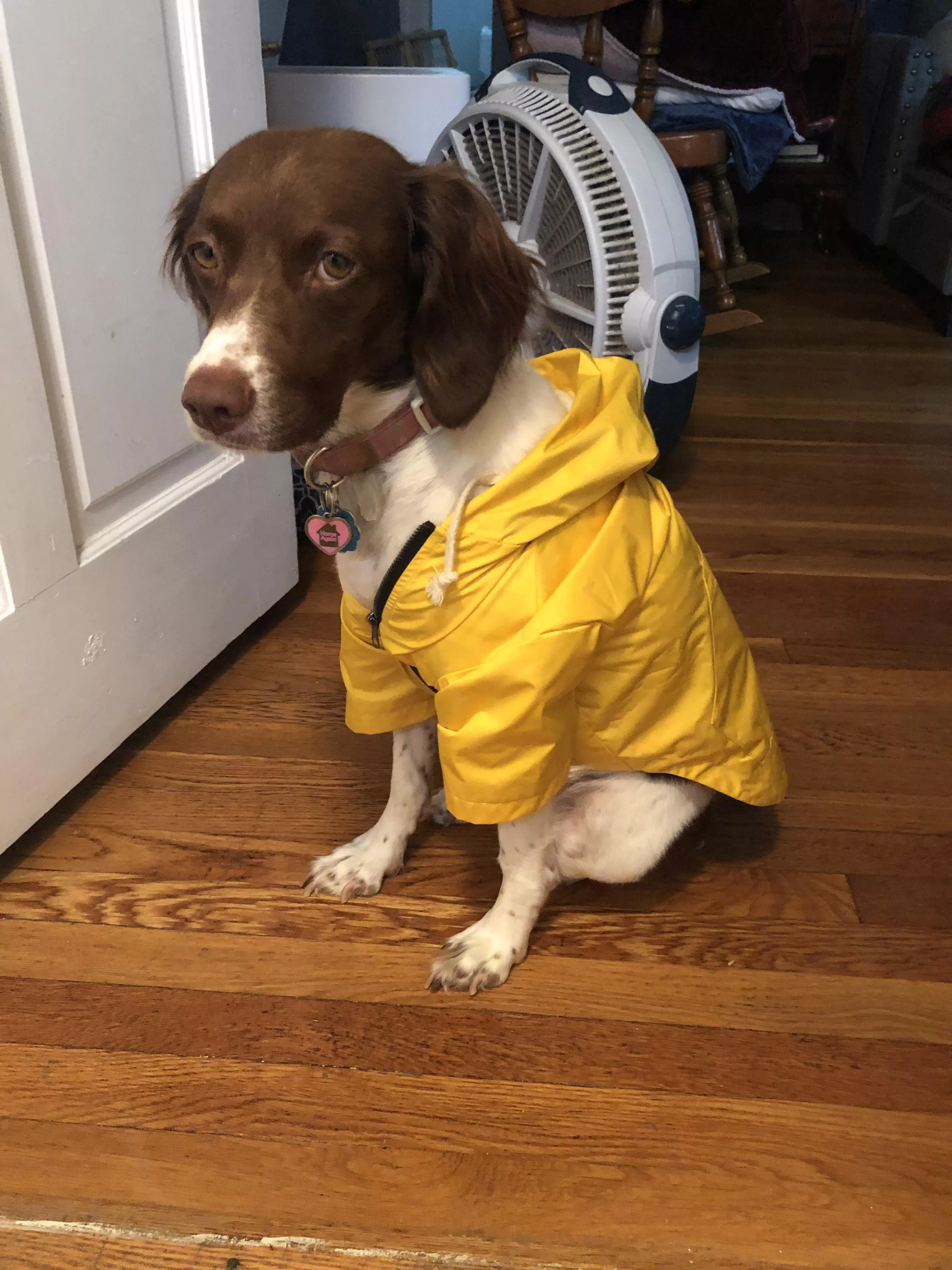 Rain coat on a rainy day posted by sthapNaow