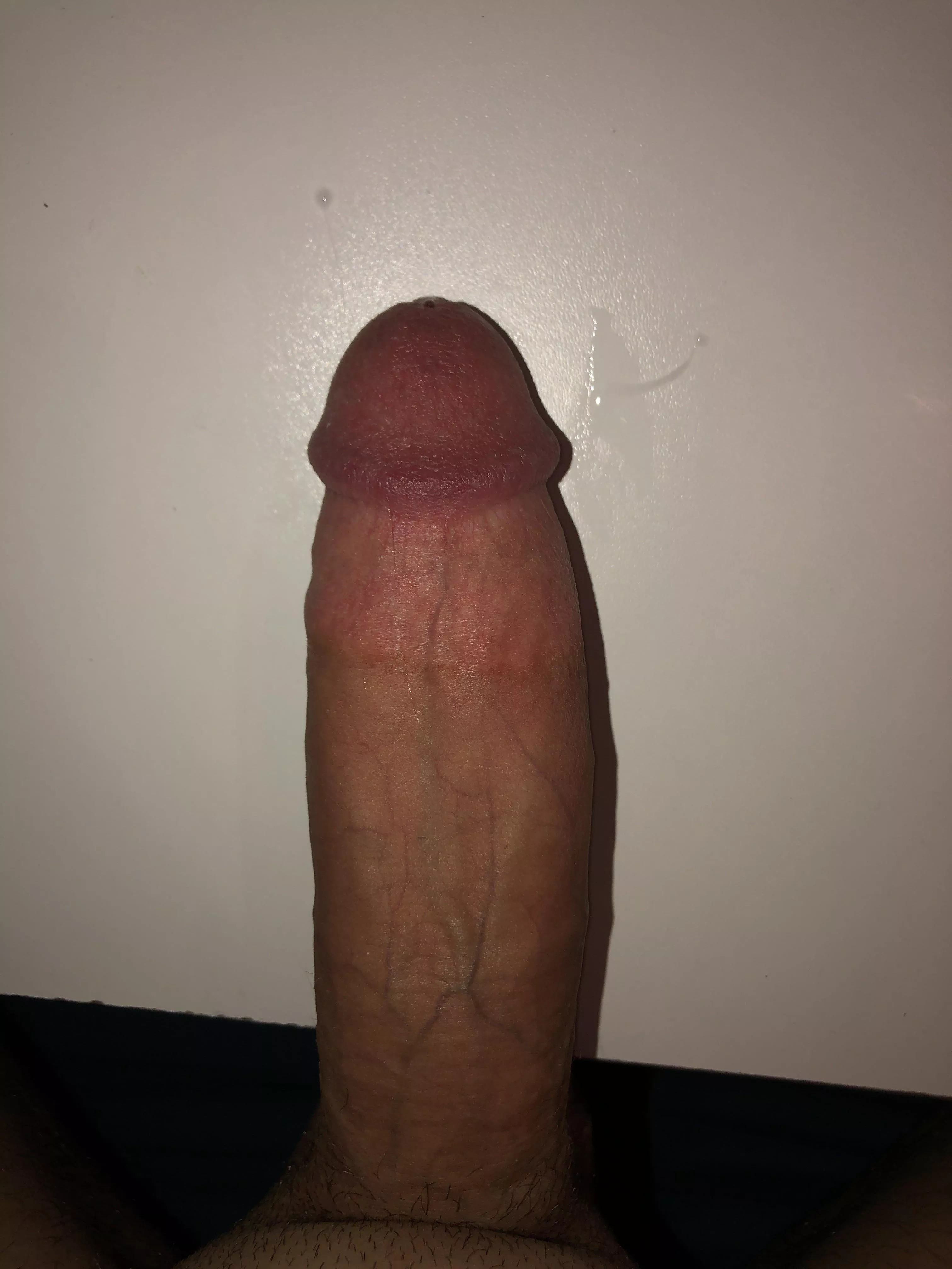 Rate my cock (m/21) posted by AnxiousLemon7852