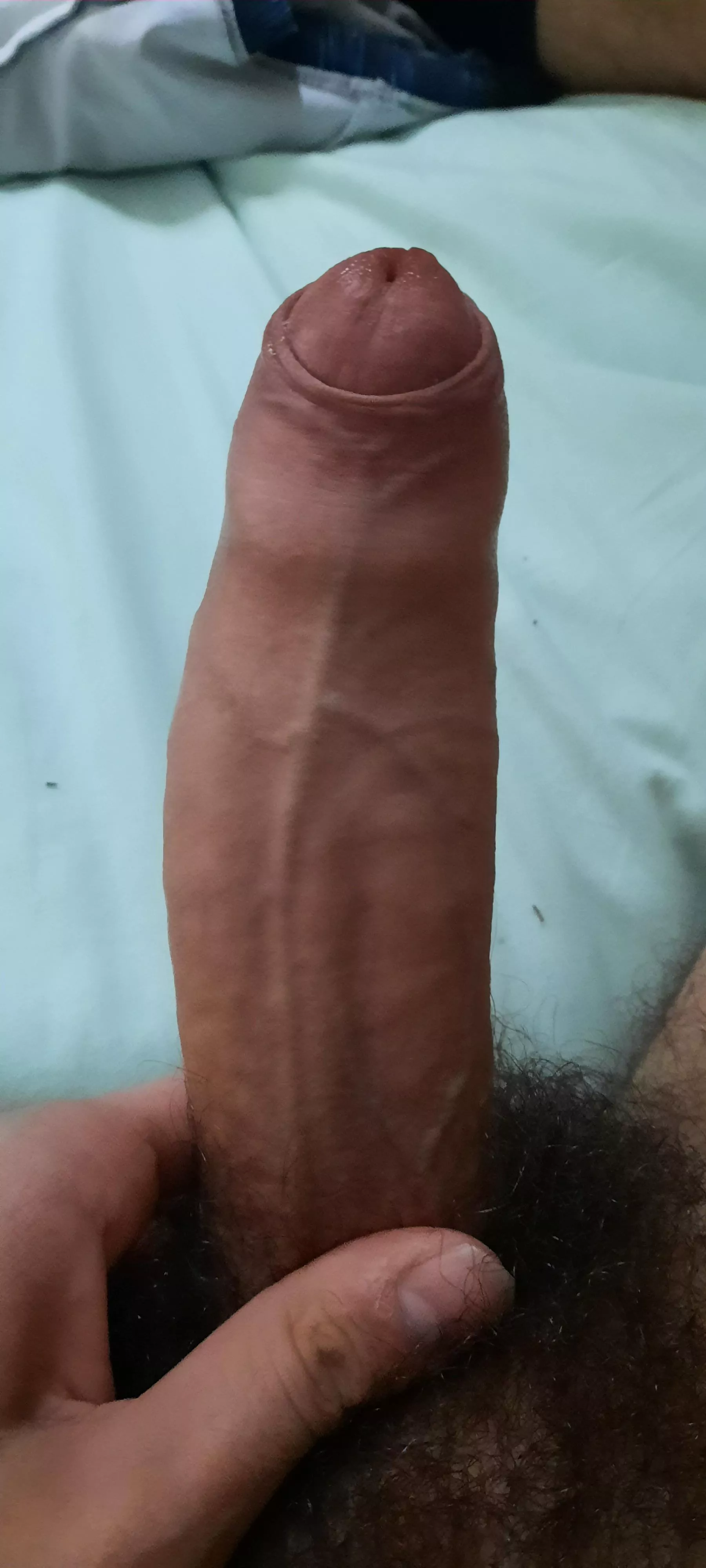 Rate my dick posted by dm_for_nude