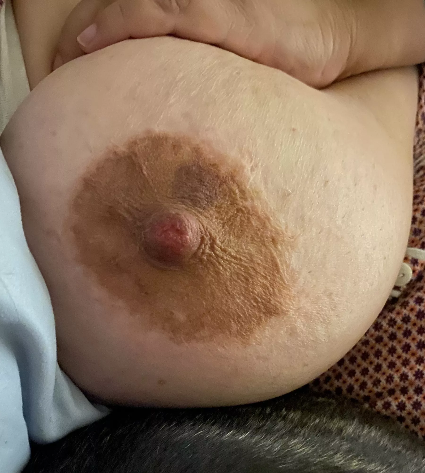 Raw nipple and bruised areola…not sure if from my husband or my fuck buddy. Hurt so good. posted by hotmarriedbbw