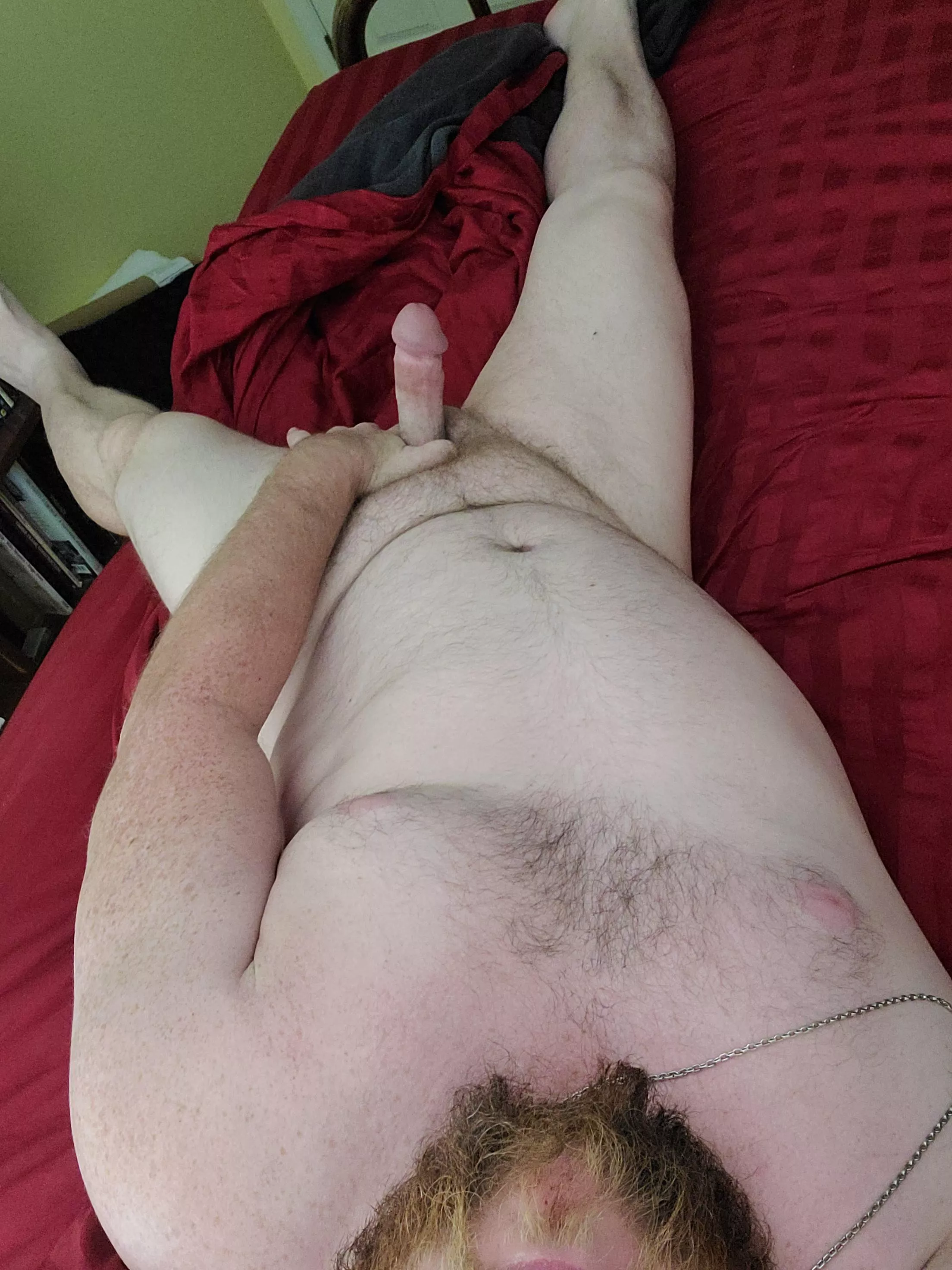 Red beard average boner posted by redbeardkentuckian