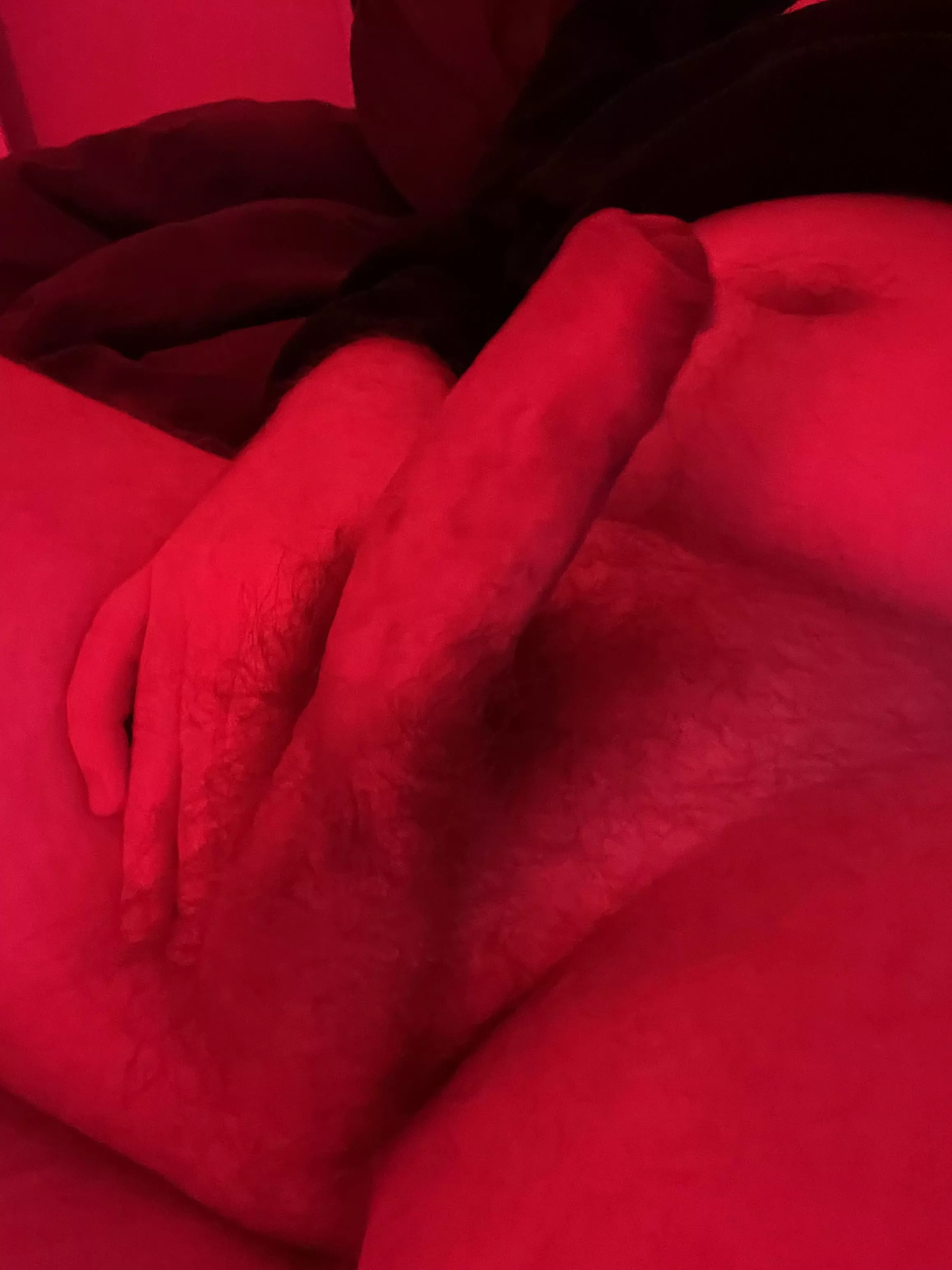 Red light on a ginger cock posted by TheUncutHornyGinger