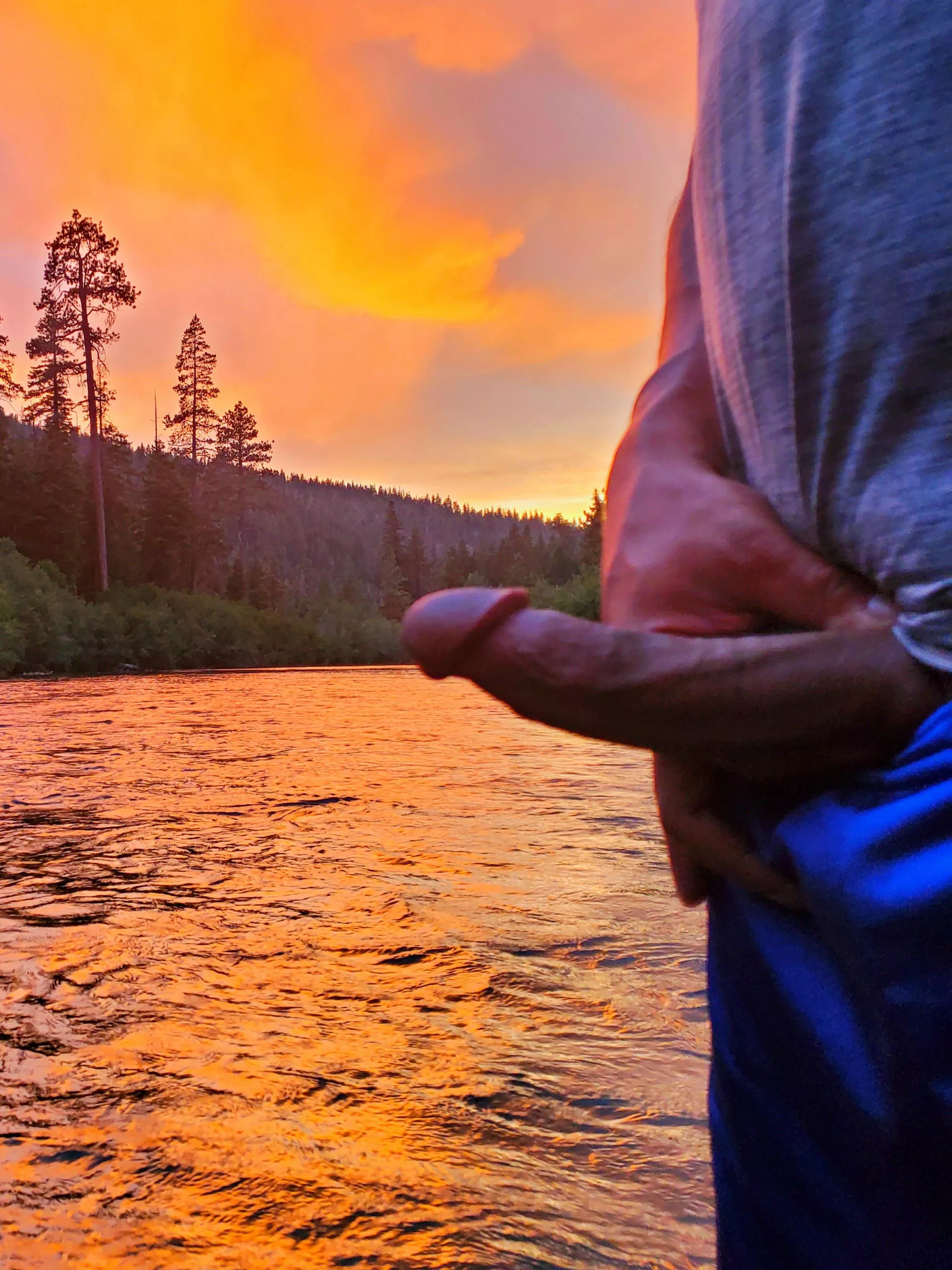 Releasing morning wood on a sunrise hike. posted by Phlip037