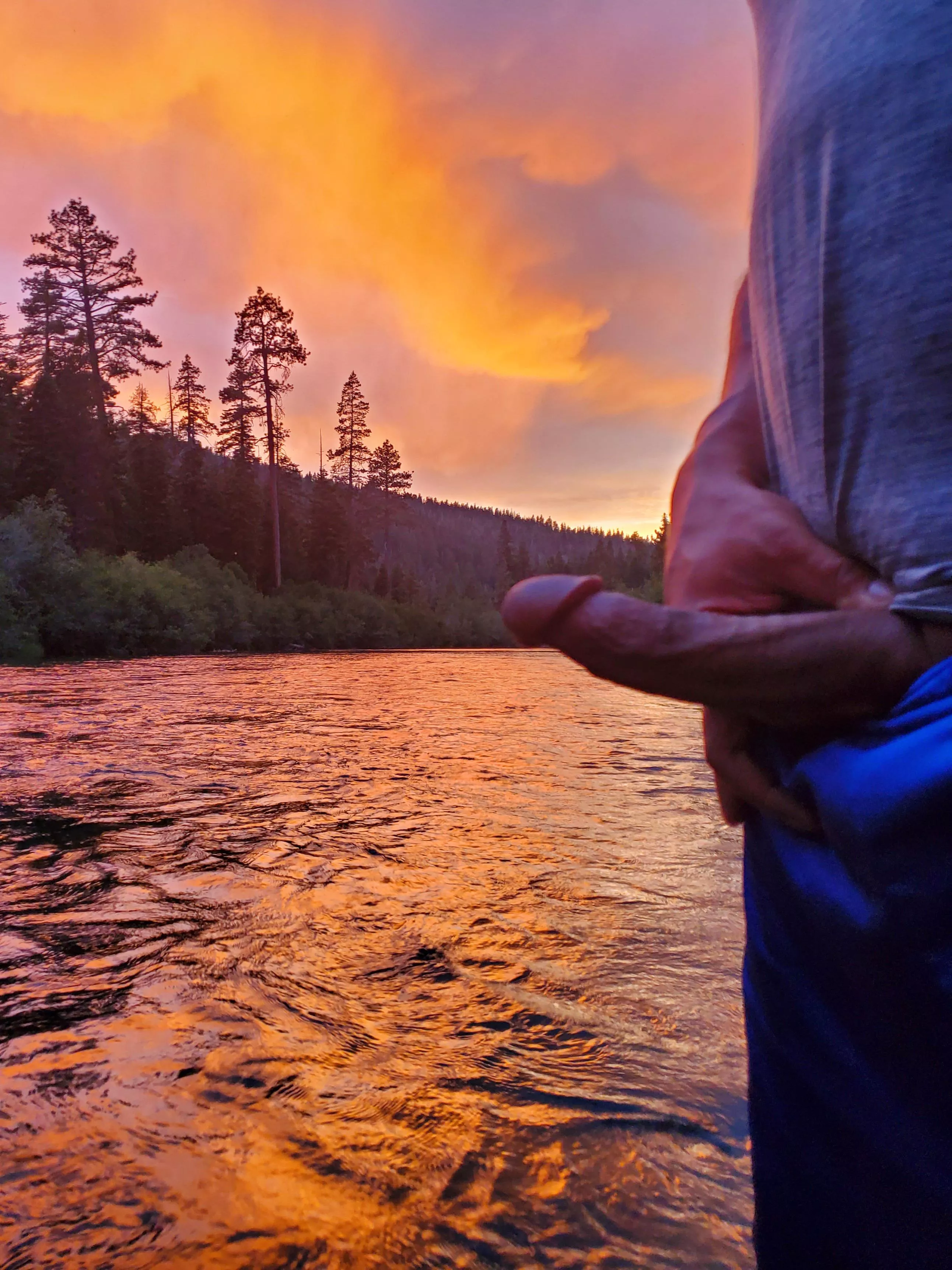 Releasing morning wood on a sunrise hike. posted by Phlip037