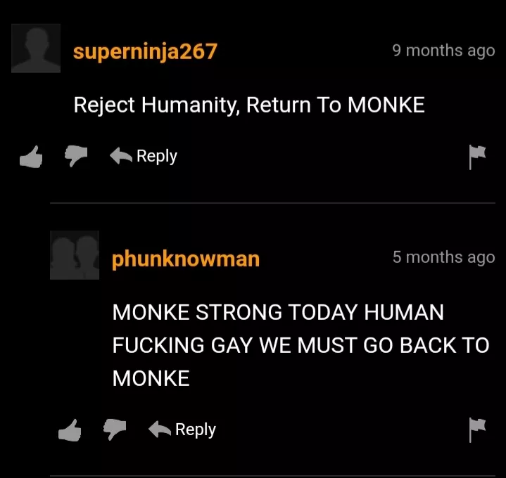 Return to Monke posted by W41k3rJ01n