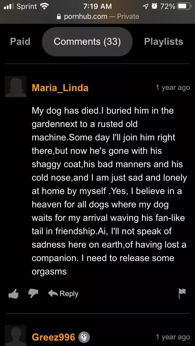 Rip doggo posted by biggestsnake