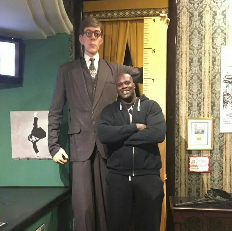 Robert Pershing Wadlow (wax statue), the tallest man ever, next to Shaquille Oâ€™niel. posted by City-Gazer