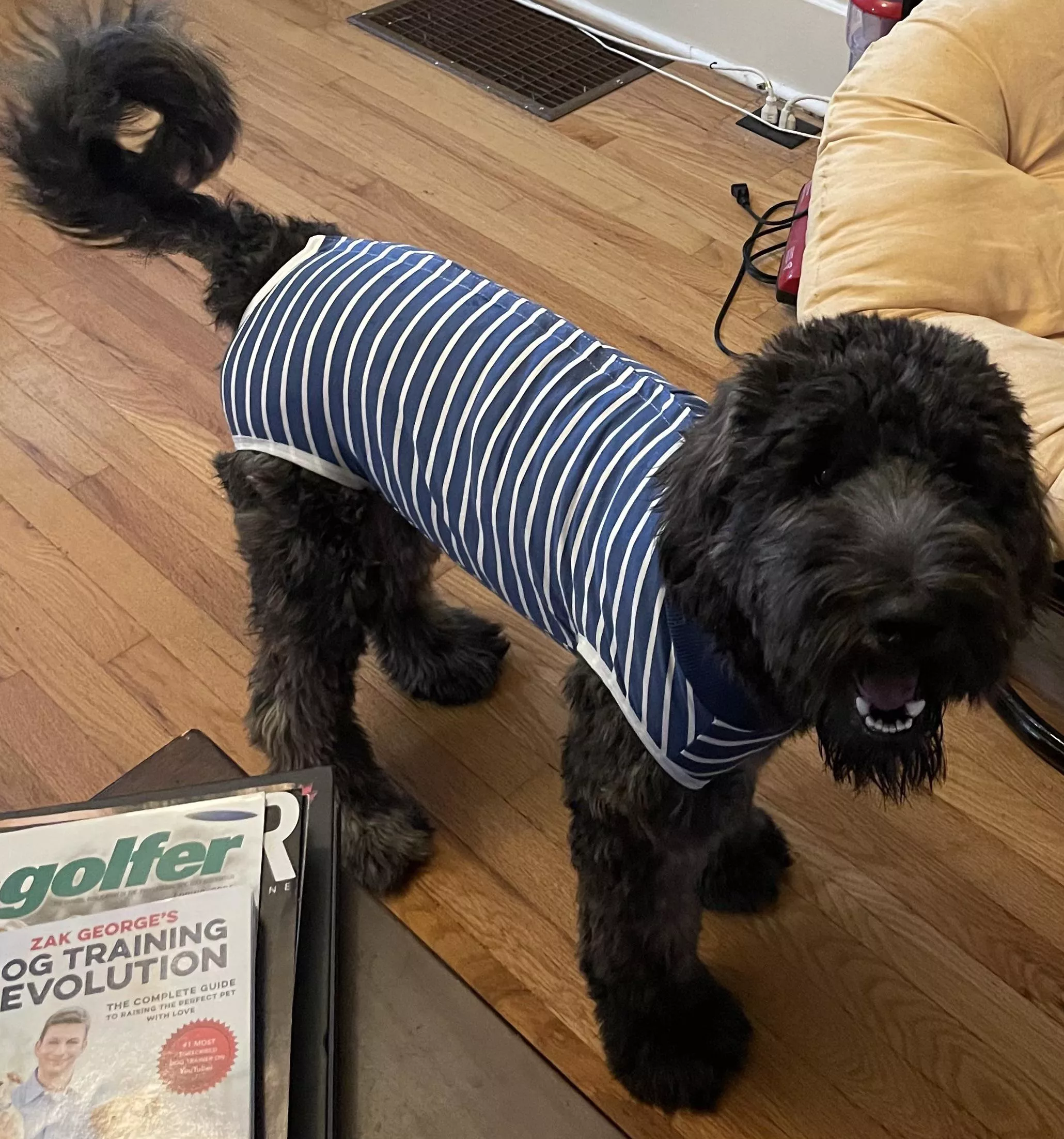 Rocking his recovery onesie! posted by Armyfarmer