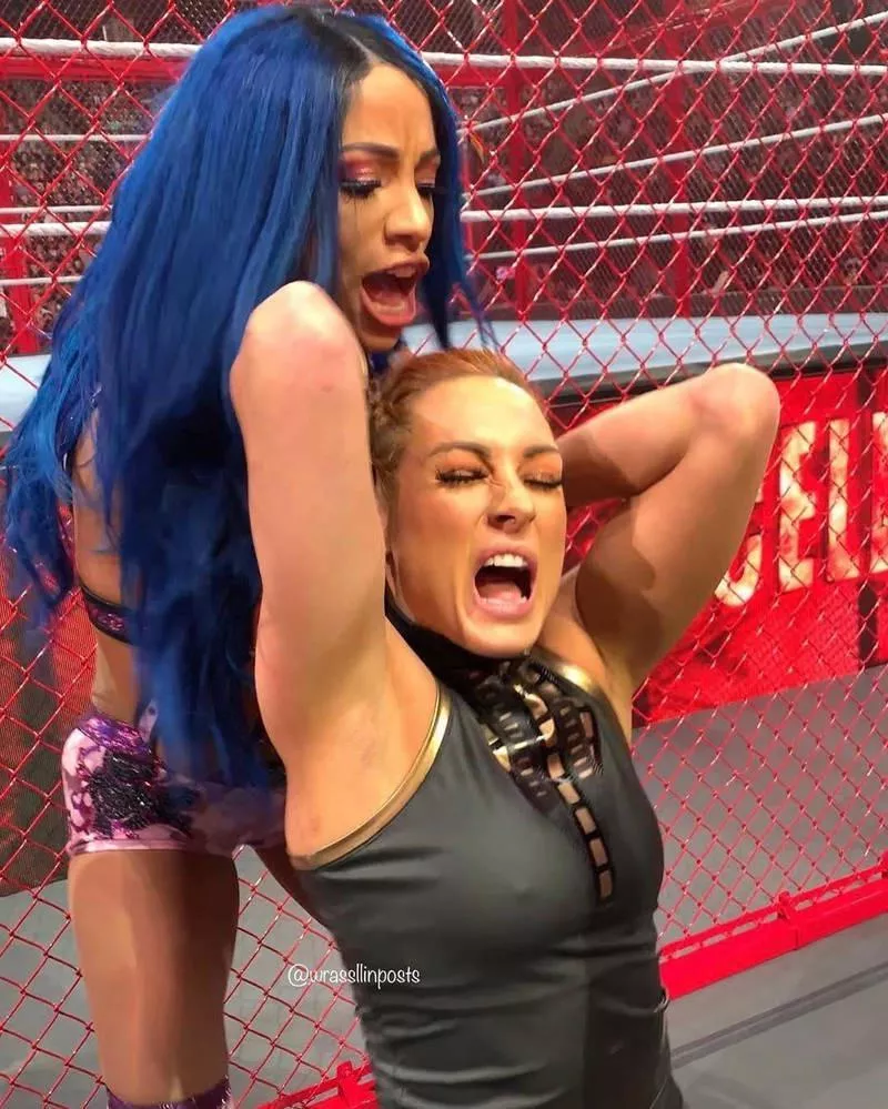 Sasha pulling Becky's hair posted by kofan3678