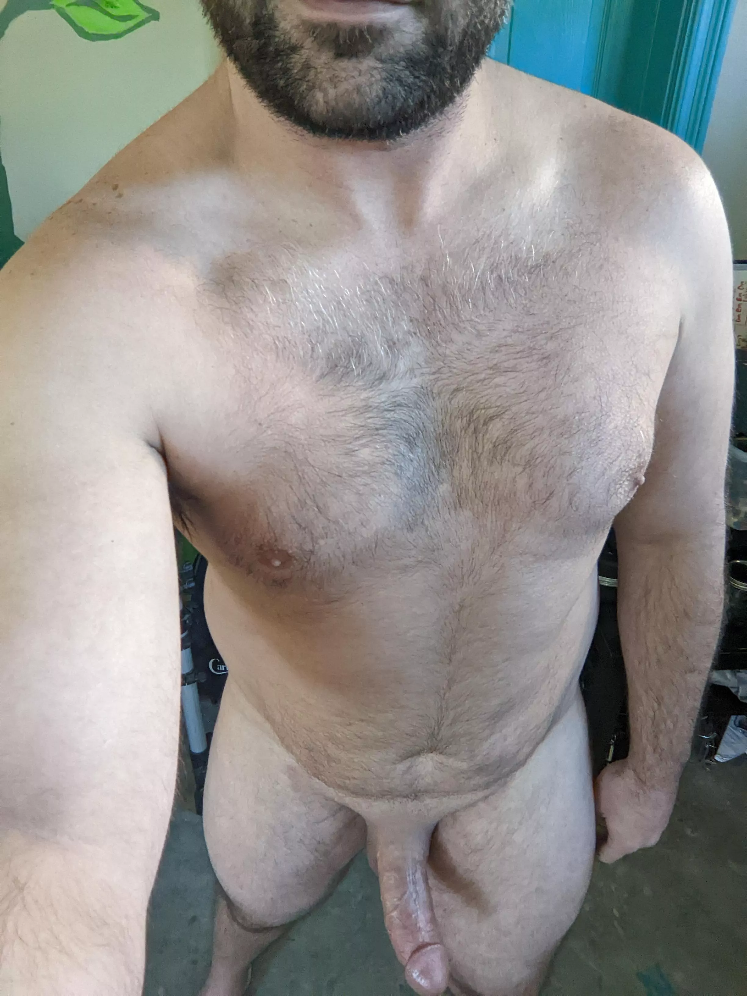 Scruffy chest, thick cock, let's play? posted by SluttyBiCock