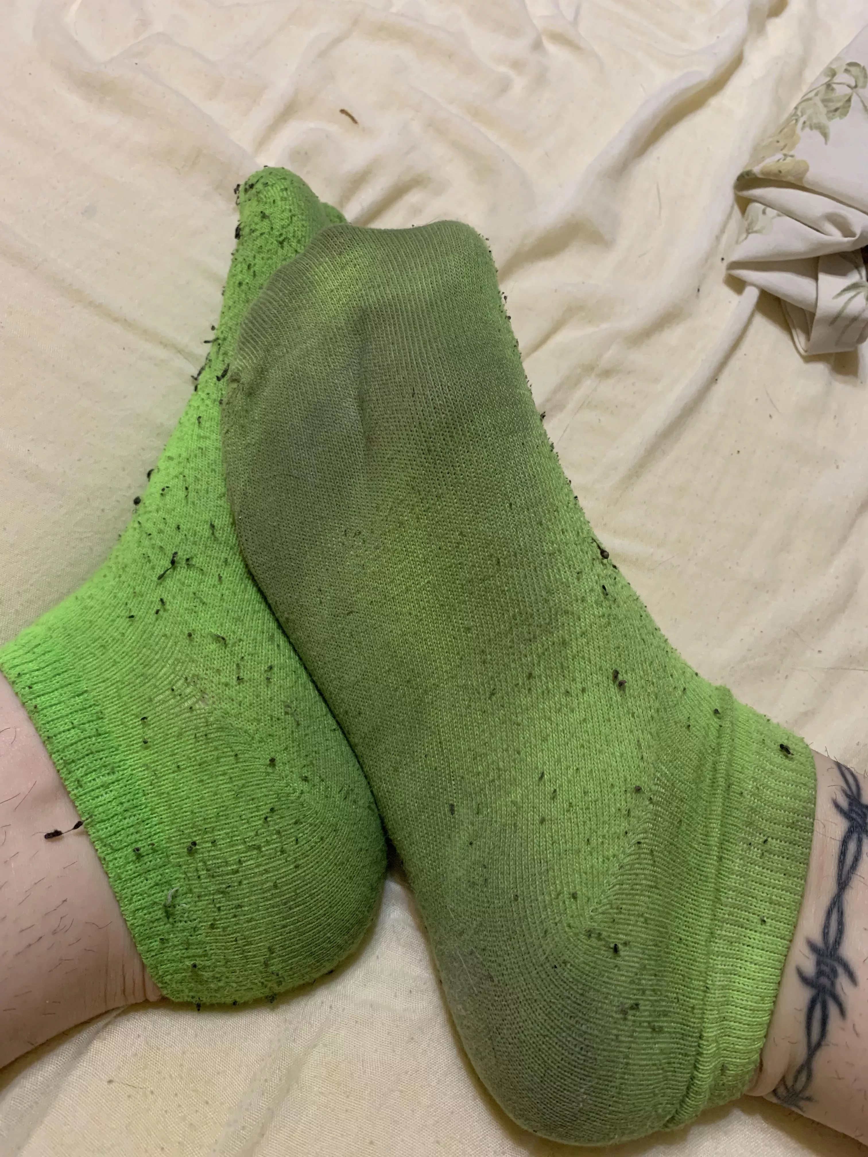 [selling] [f22] [us] cum treat yourself to a pair of my socks 💕 need these gone ASAP ❤️more services available 💋 SERIOUS BUYERS ONLY 😈 kik me at xxxgarmentsxxx posted by xxxxgarmentsxxxx