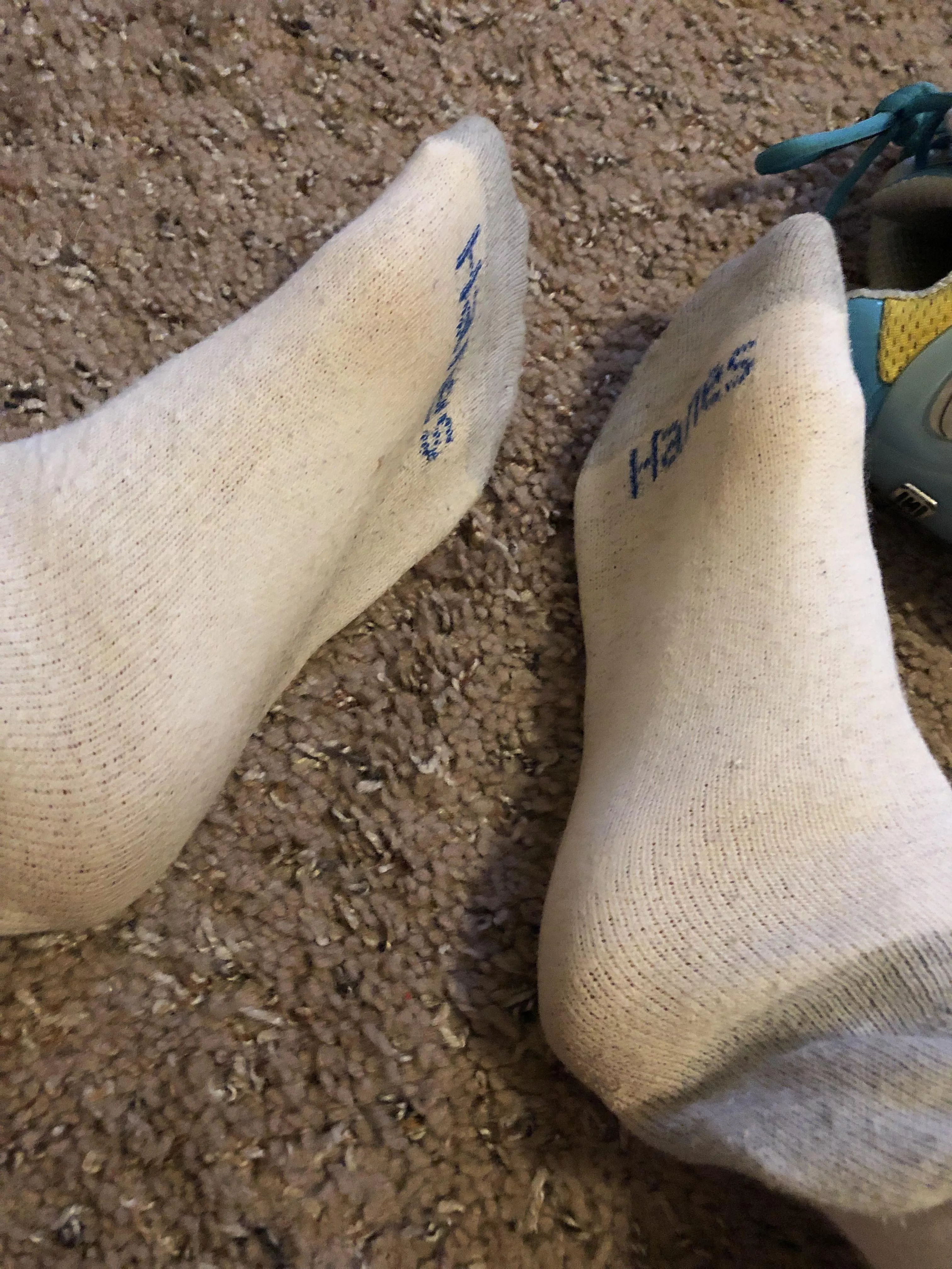 💋[Selling]💋 Yummy and sweaty cotton ankle socks, courtesy of this hot FL sunshine!🌞 These are sold but I can make another pair just for you!😍PM me with any questions, I can’t say “Yes!” unless you ask! posted by colette149