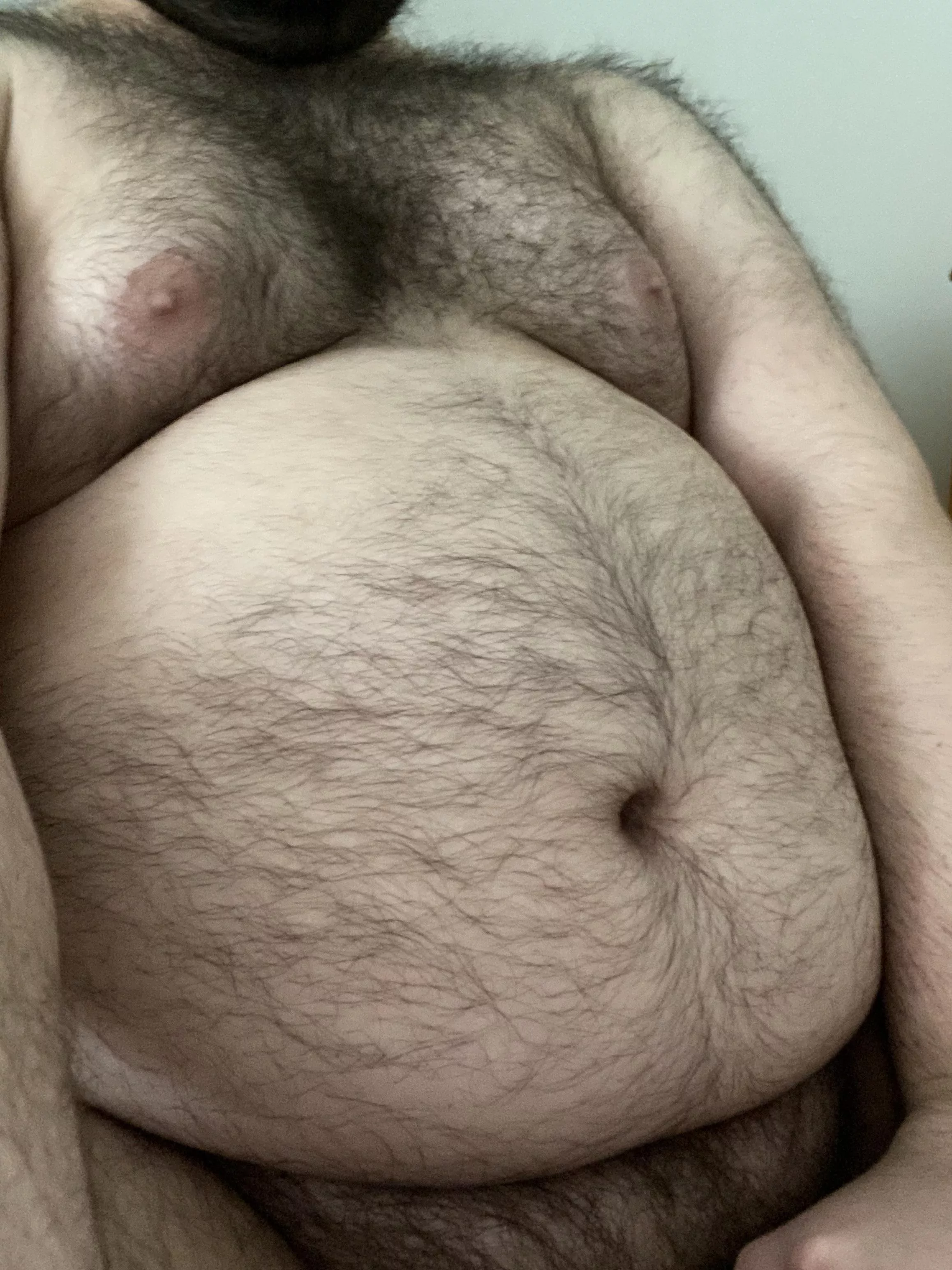 Send me some DMs as fat as this belly is getting. posted by TheLazyHermit11