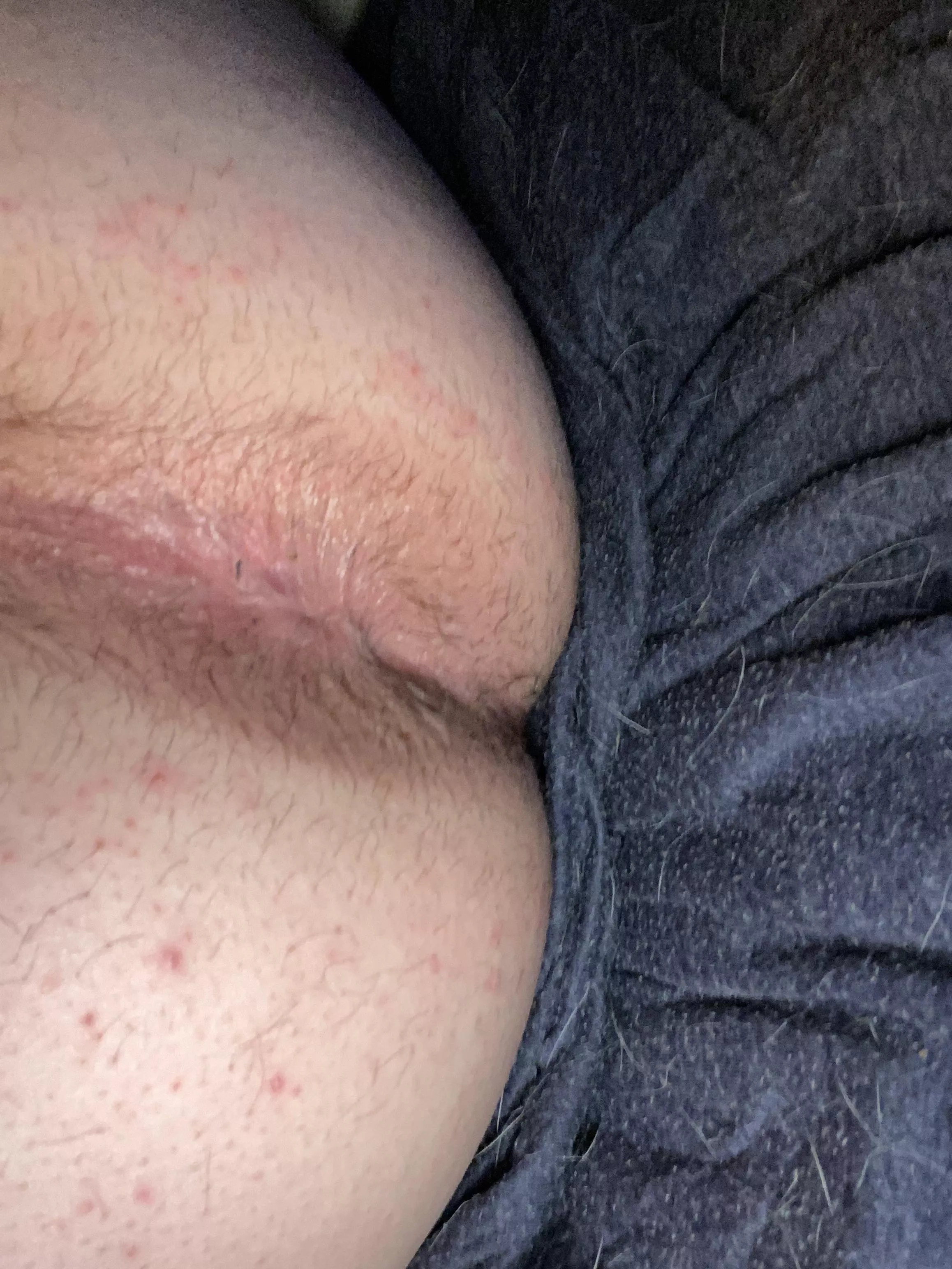 Send me your cum videos posted by femboyslut4u