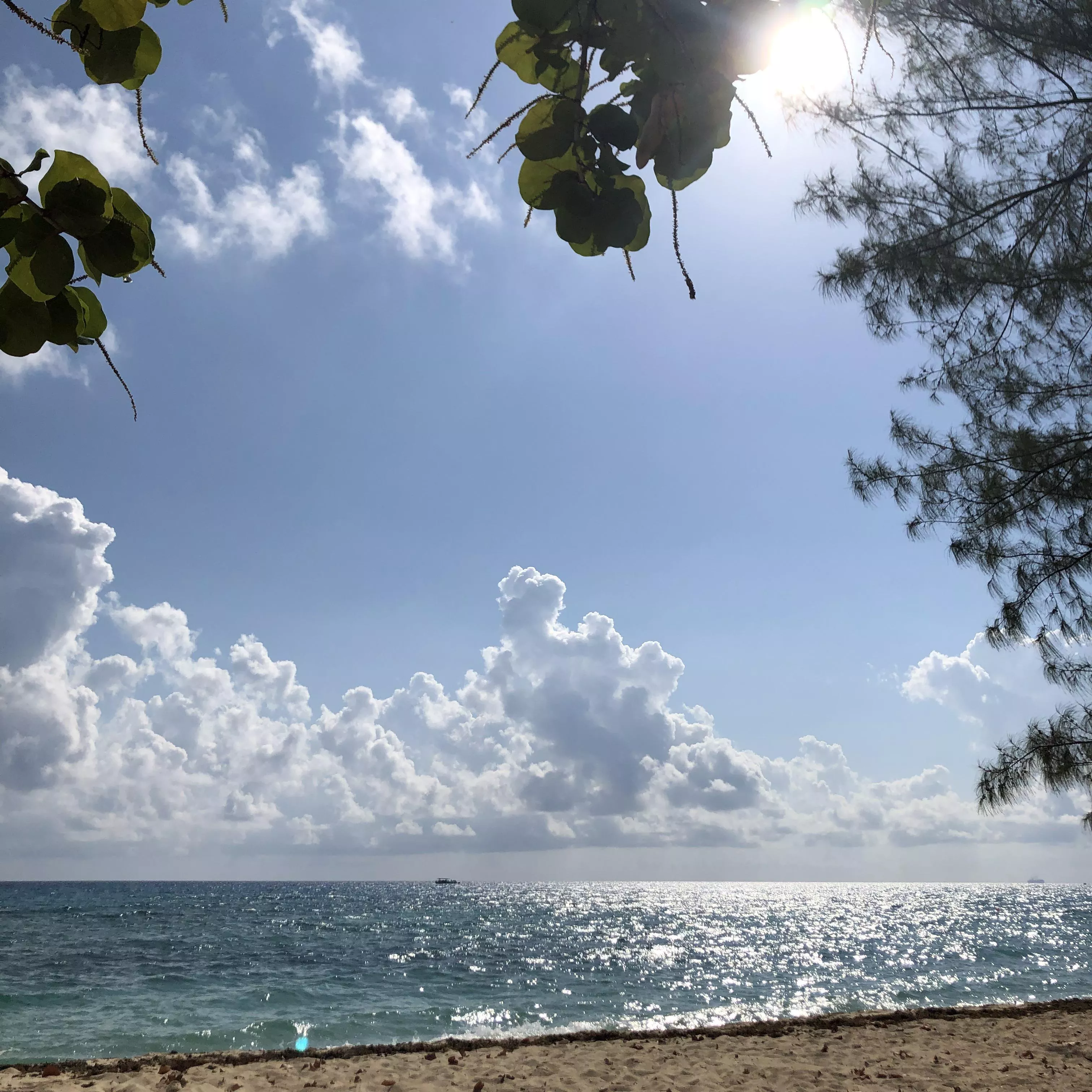 Seven Mile Beach - Cayman Islands posted by mostgolden