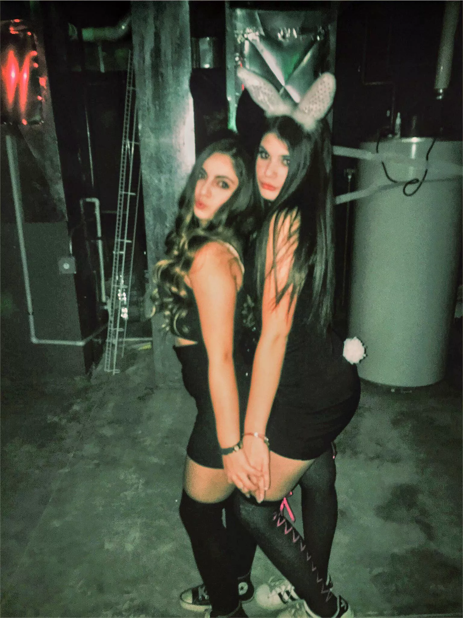 Sexy Bunnies posted by throwaway-47357