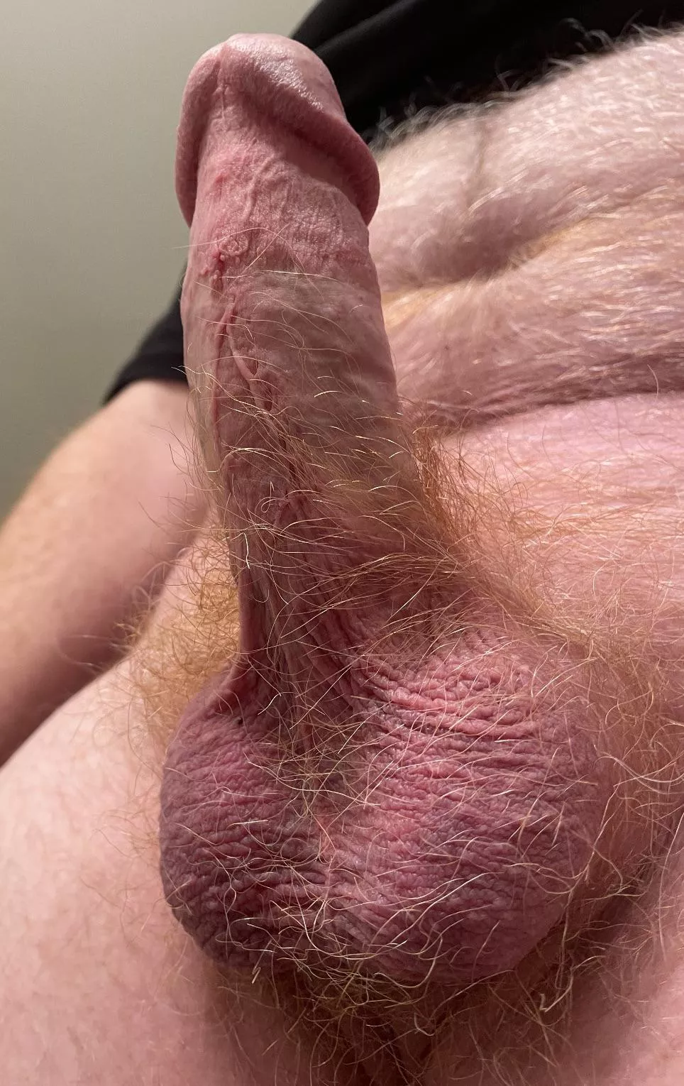 Shaft is getting hairy again posted by gingermale51