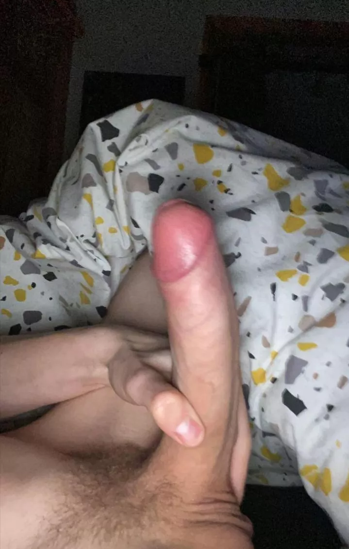 SHAVED BWC DM ME IF UR HORNY AND BI OR GAY posted by Exact-Reading-3609