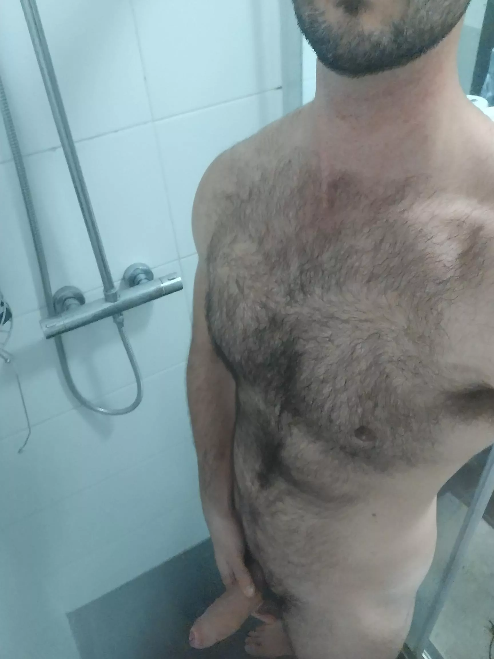 Shaved my chest a few weeks ago, letting it grow out this time posted by Wrutekian